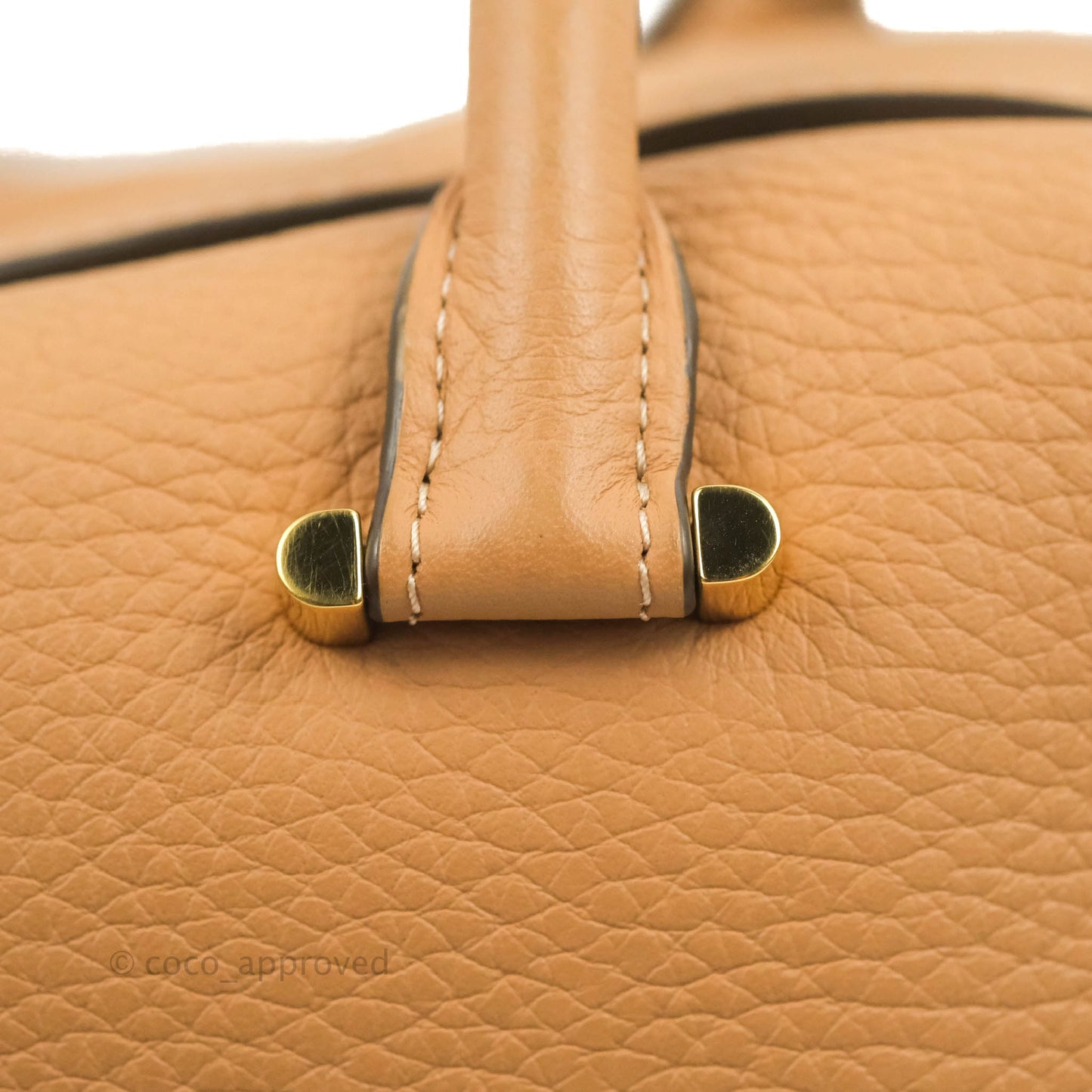 Delvaux Cool Box MM in Taurillon Soft Grained Calfskin Vegetal Ivory Gold Hardware