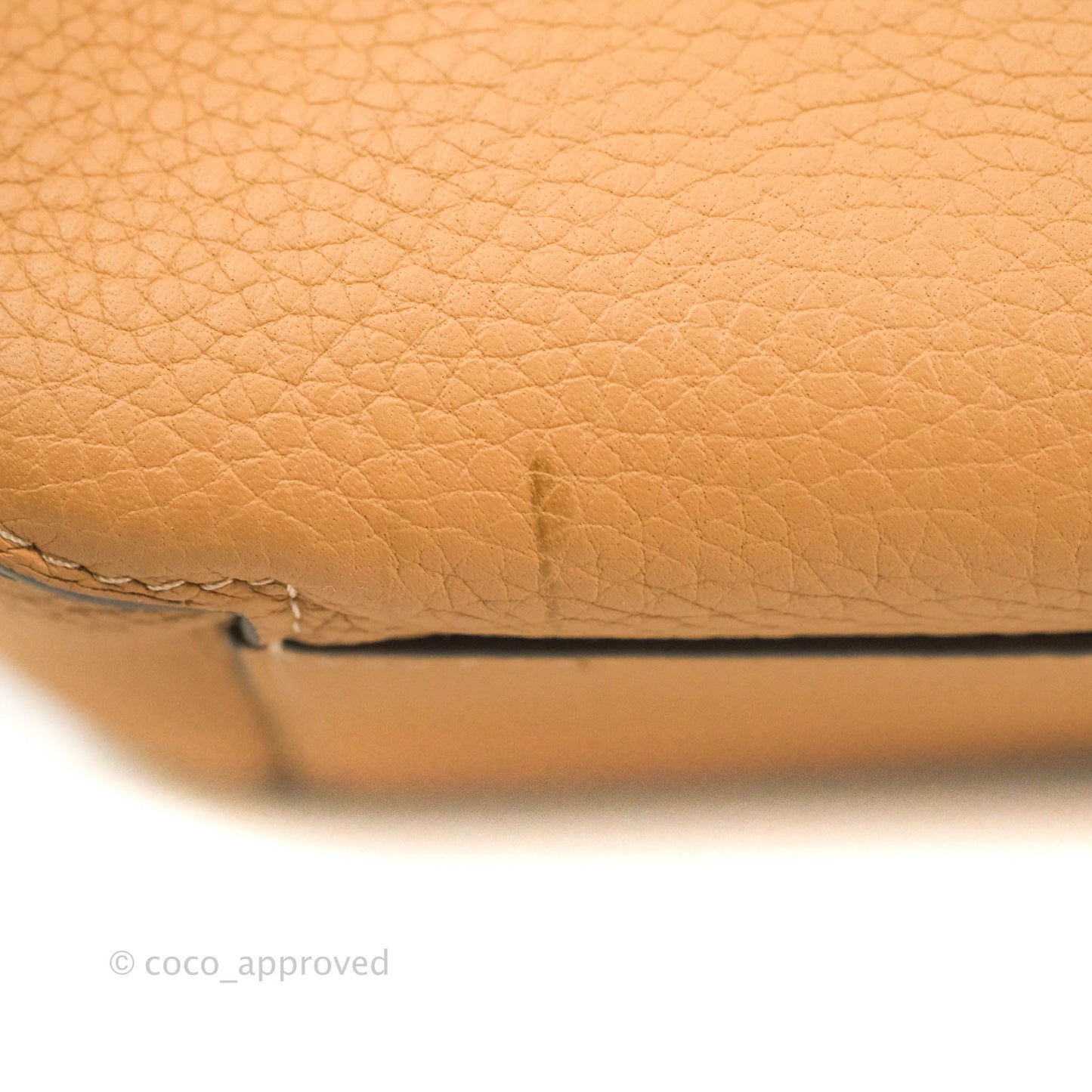 Delvaux Cool Box MM in Taurillon Soft Grained Calfskin Vegetal Ivory Gold Hardware
