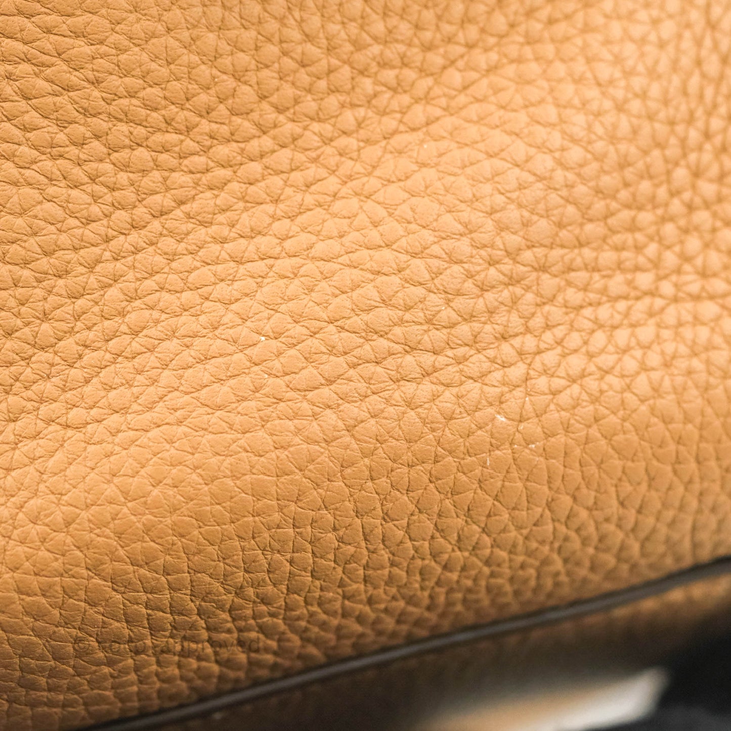 Delvaux Cool Box MM in Taurillon Soft Grained Calfskin Vegetal Ivory Gold Hardware