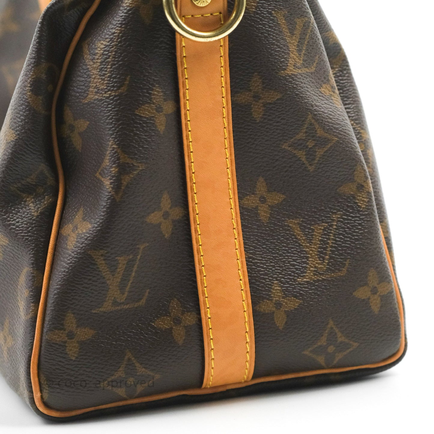 Louis Vuitton Speedy 25 Monogram Canvas