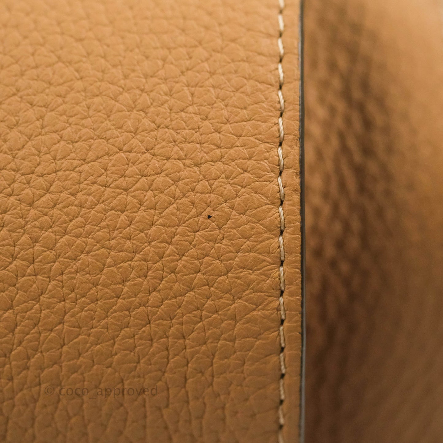 Delvaux Cool Box MM in Taurillon Soft Grained Calfskin Vegetal Ivory Gold Hardware