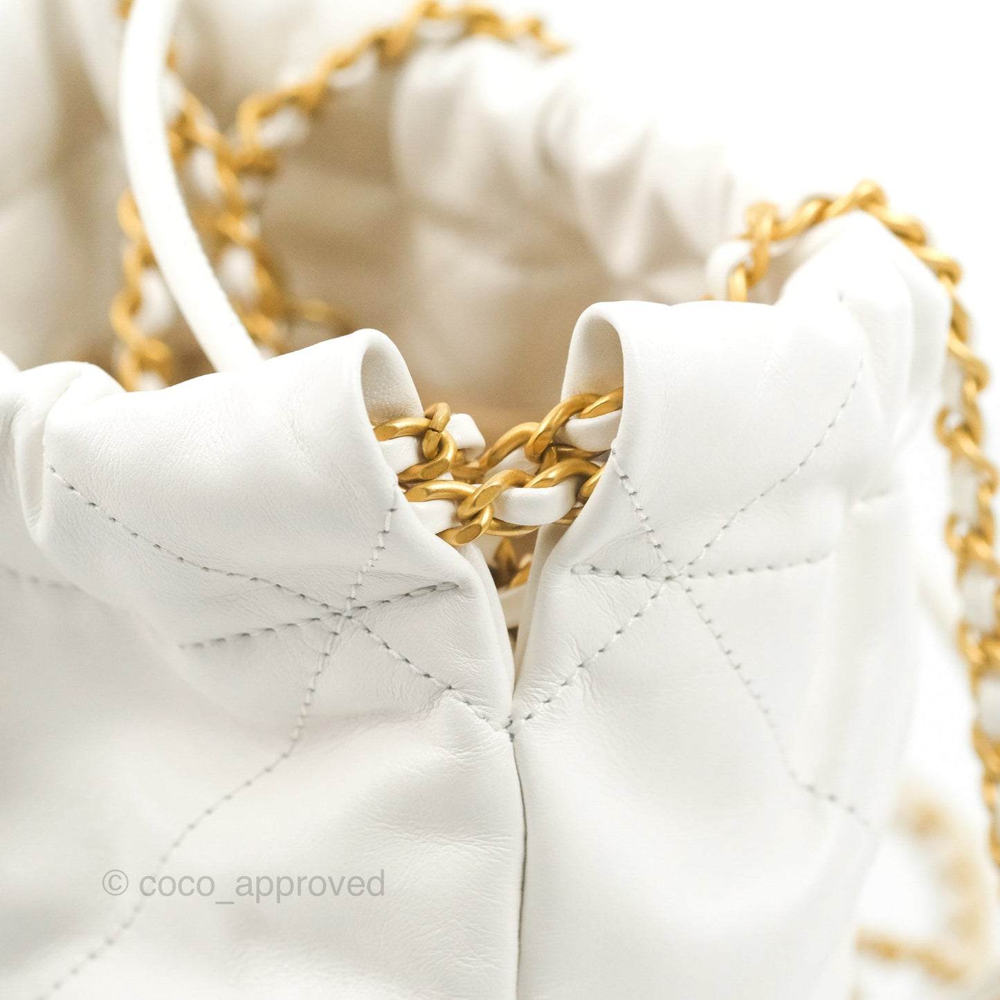 Chanel 22 Mini Bag White Crumpled Calfskin
