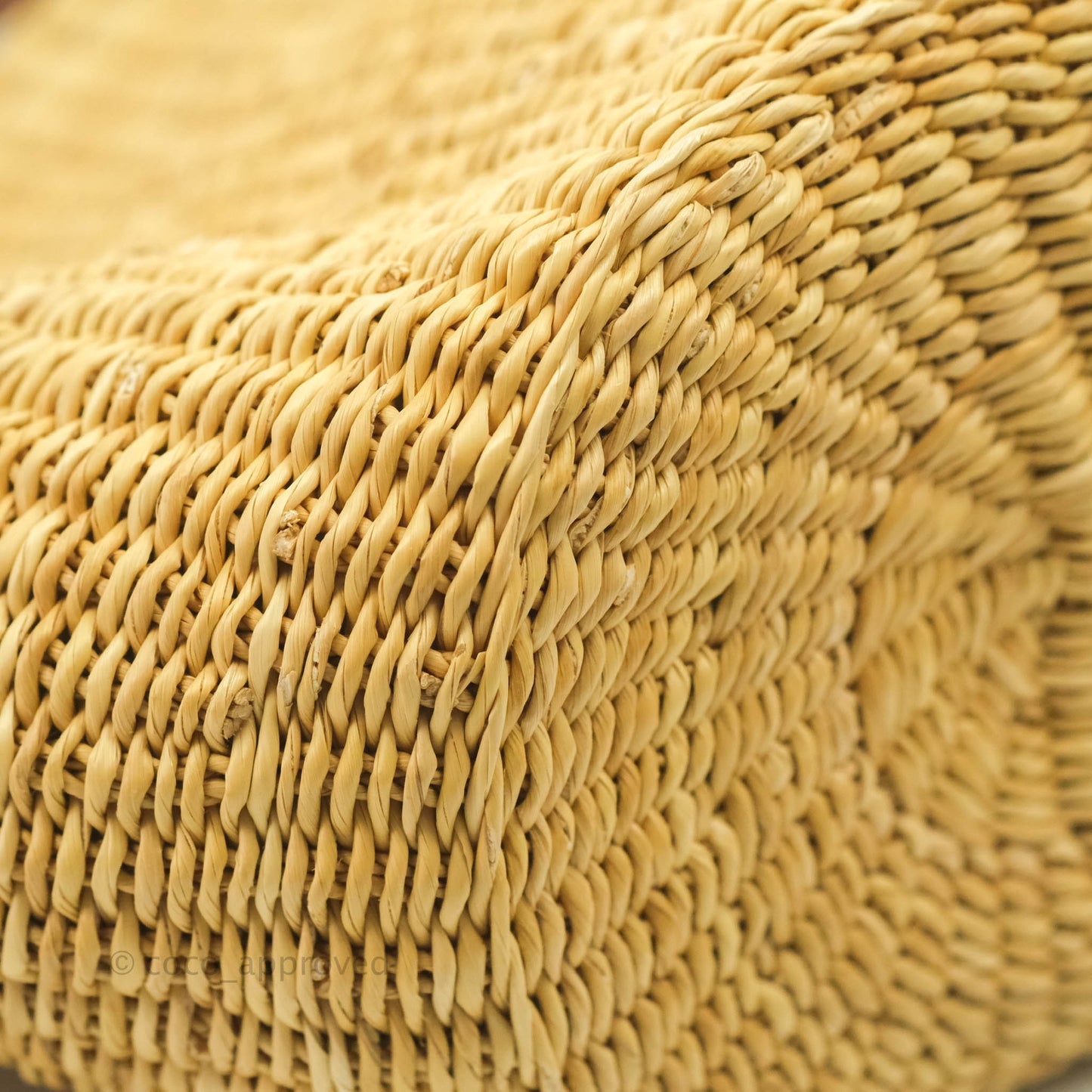 Loewe x Paula’s Ibiza Raffia Shell Basket Bag