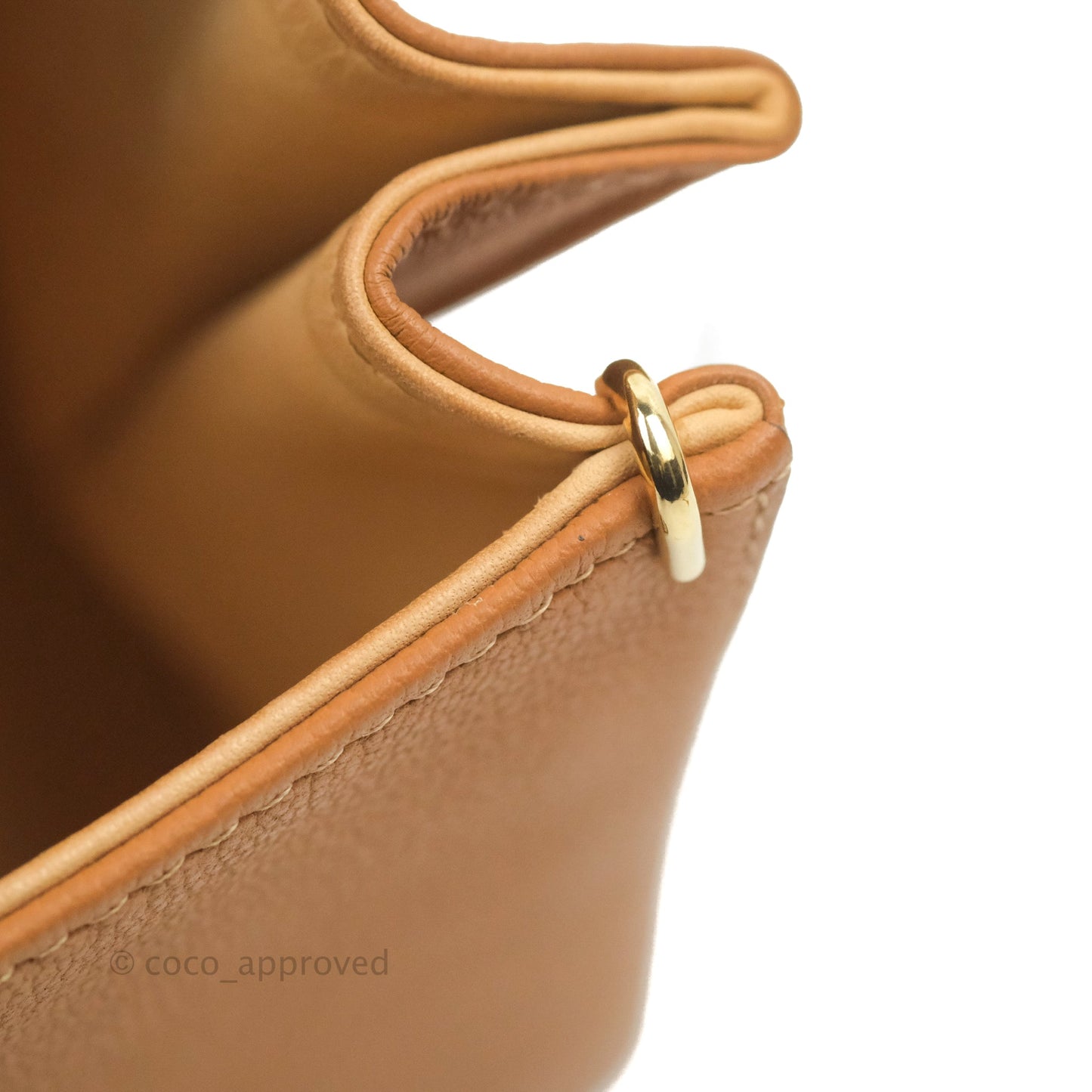 Delvaux Mini Brillant Bag Vegetal Rodeo Calf Gold Hardware