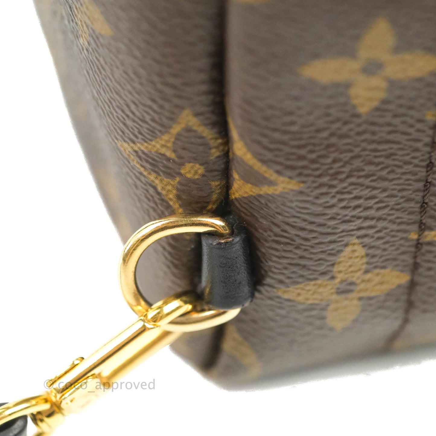 Louis Vuitton Monogram Mini Palm Springs Backpack⁣