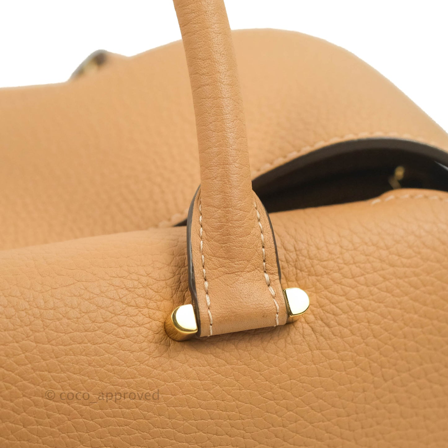 Delvaux Cool Box MM in Taurillon Soft Grained Calfskin Vegetal Ivory Gold Hardware