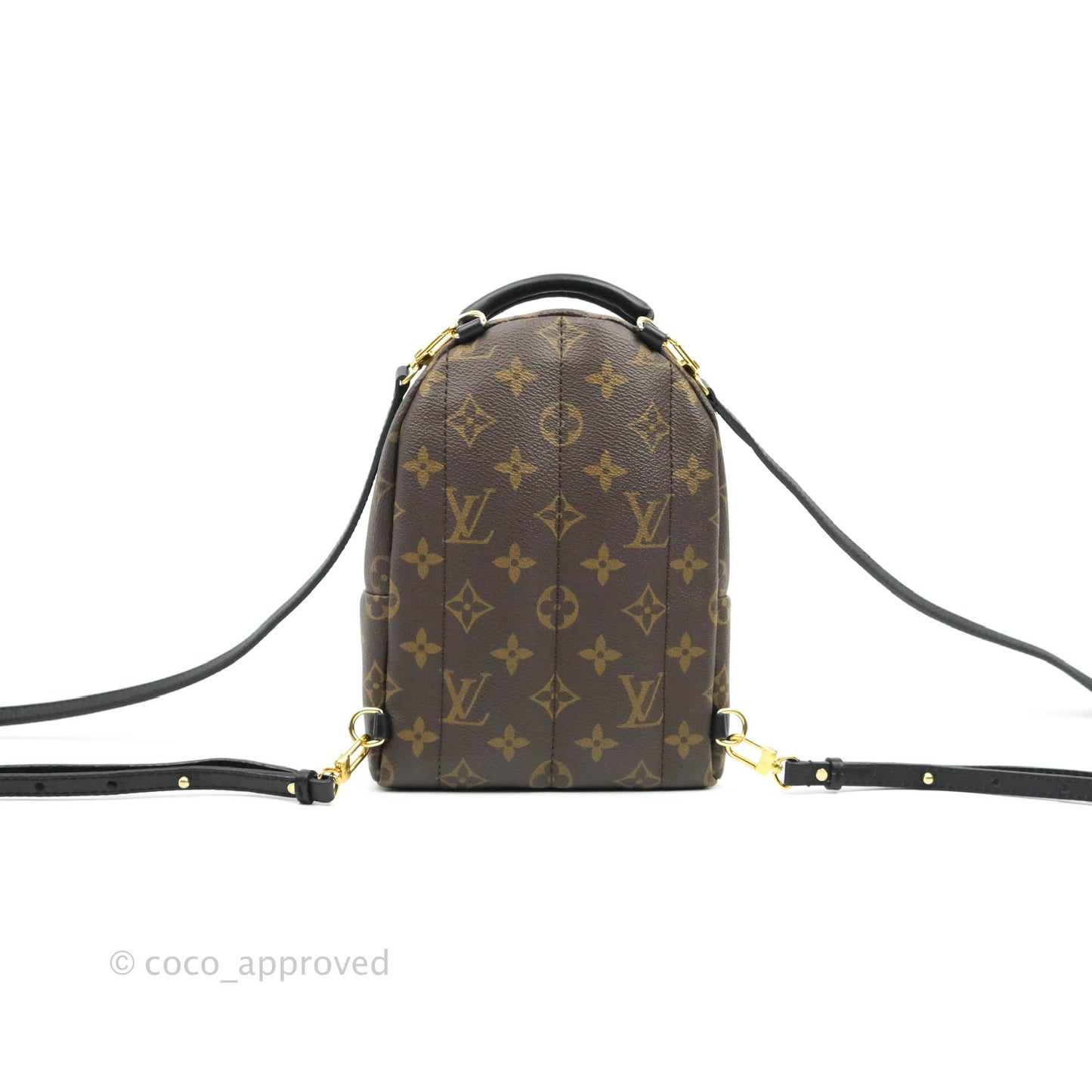 Louis Vuitton Monogram Mini Palm Springs Backpack⁣