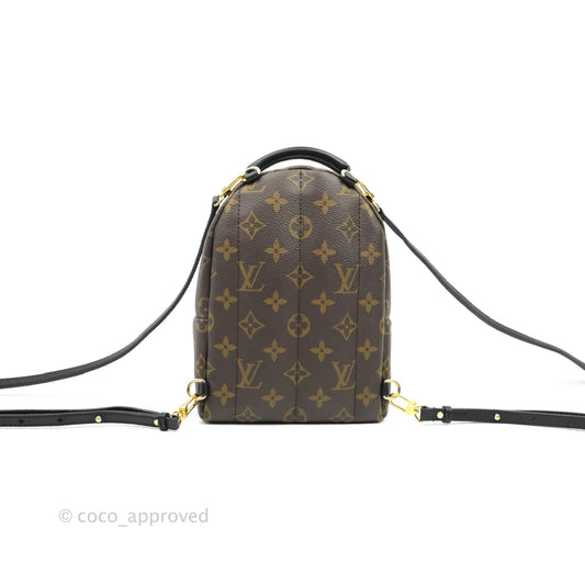 Louis Vuitton Monogram Mini Palm Springs Backpack⁣