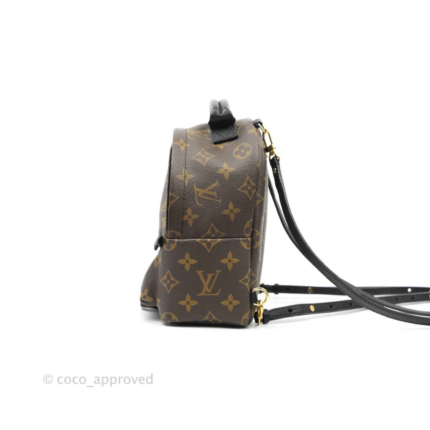 Louis Vuitton Monogram Mini Palm Springs Backpack⁣