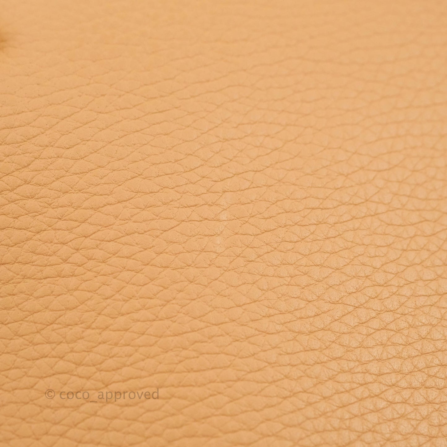Delvaux Cool Box MM in Taurillon Soft Grained Calfskin Vegetal Ivory Gold Hardware