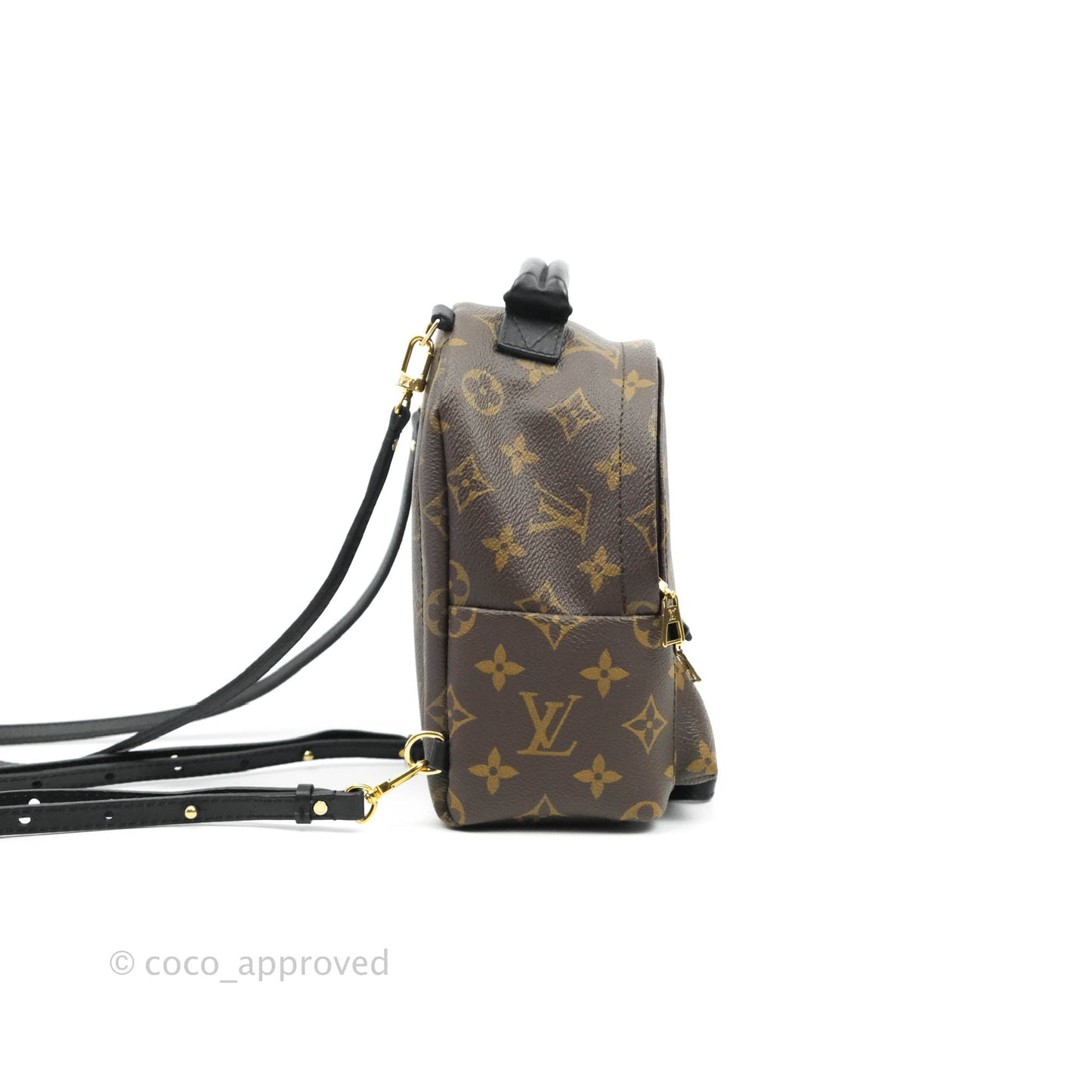 Louis Vuitton Monogram Mini Palm Springs Backpack⁣