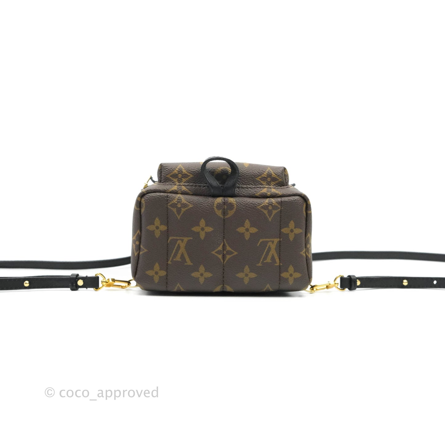 Louis Vuitton Monogram Mini Palm Springs Backpack⁣