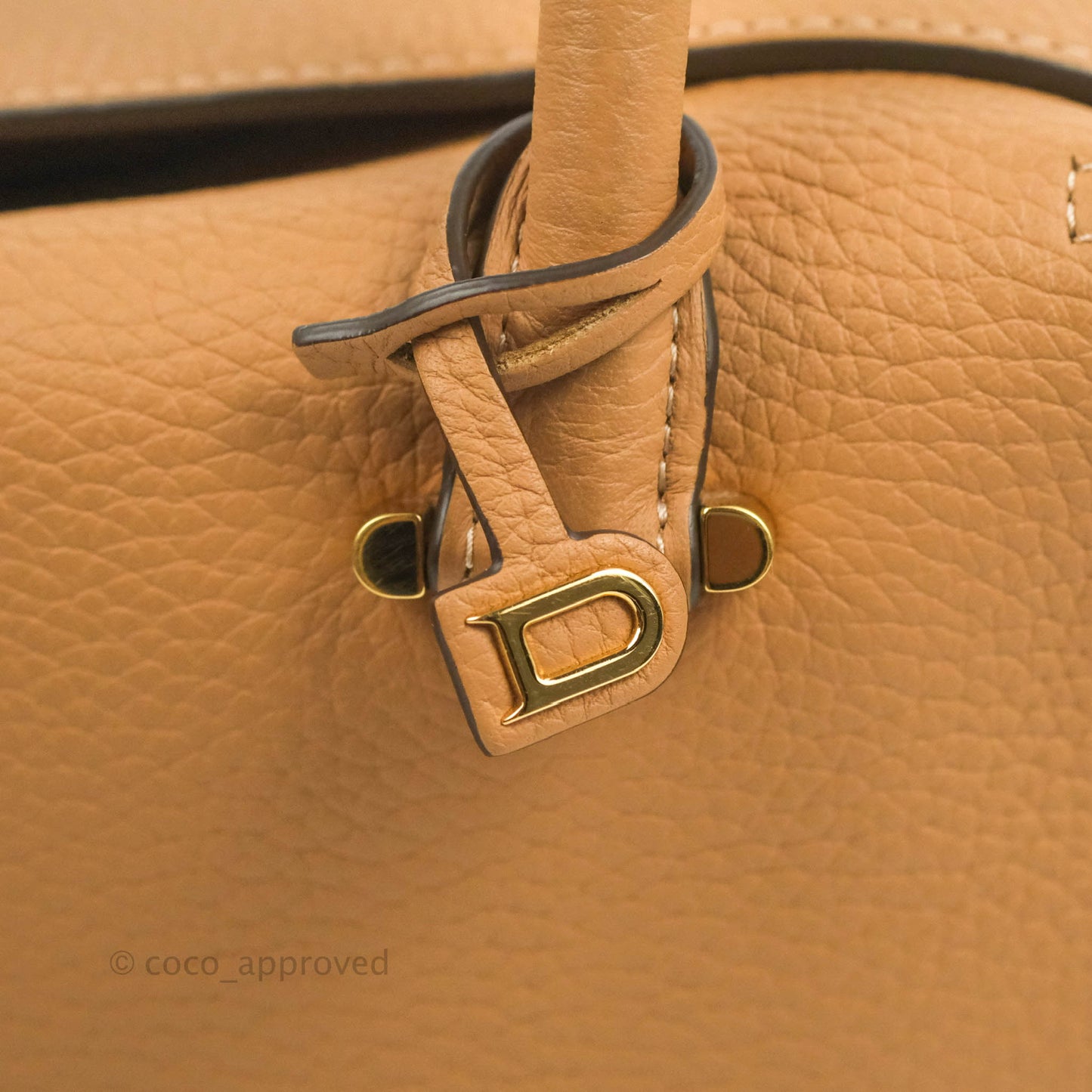 Delvaux Cool Box MM in Taurillon Soft Grained Calfskin Vegetal Ivory Gold Hardware
