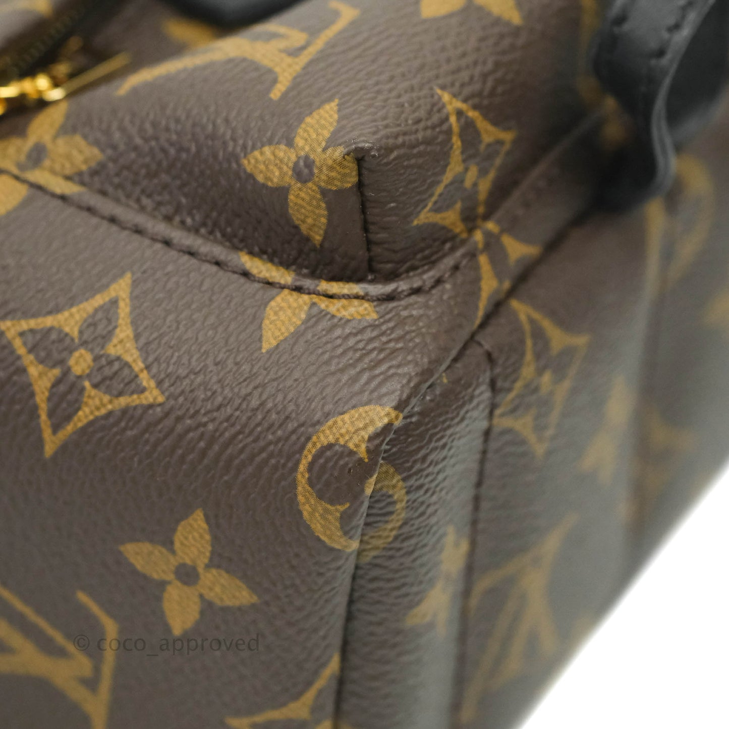 Louis Vuitton Monogram Mini Palm Springs Backpack⁣