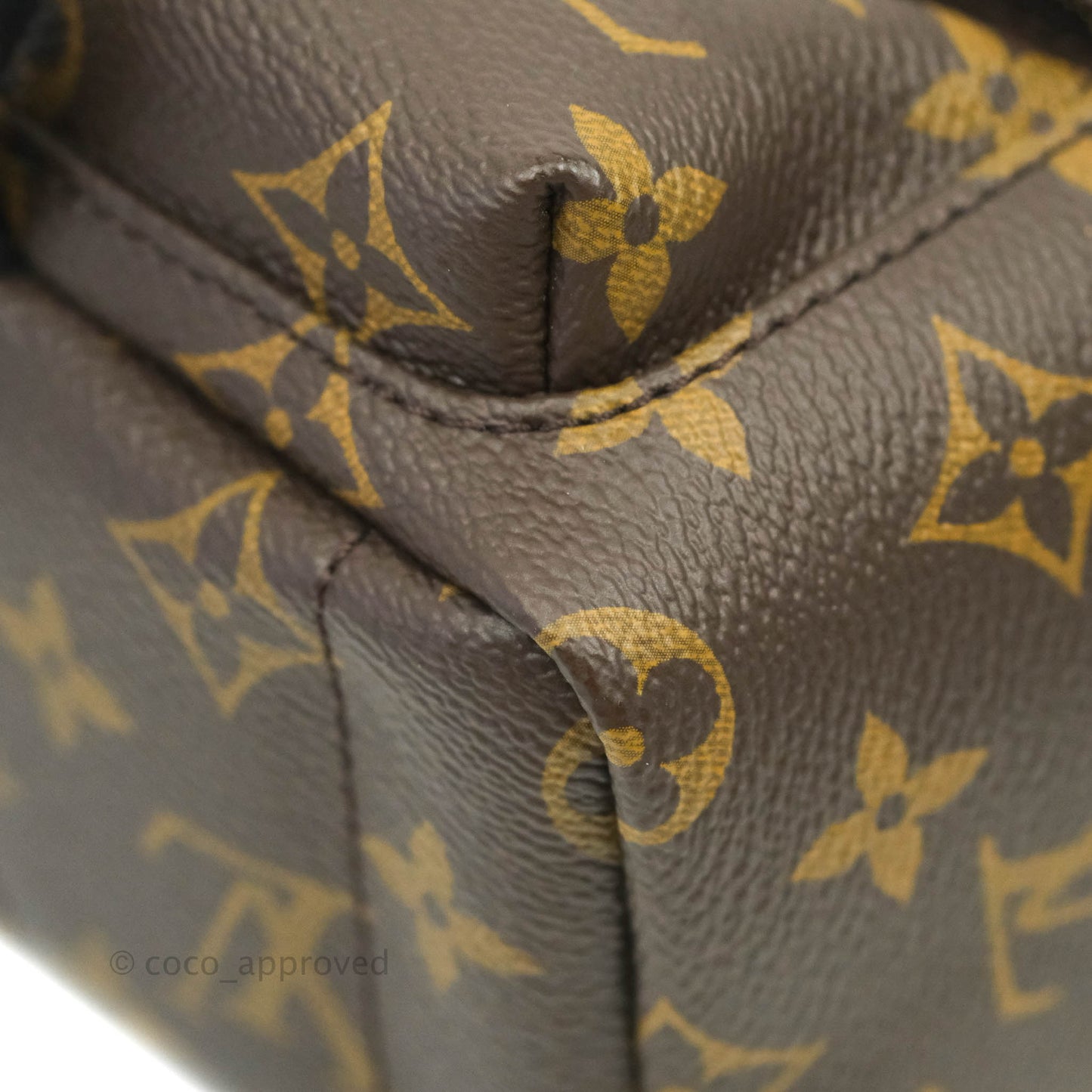 Louis Vuitton Monogram Mini Palm Springs Backpack⁣