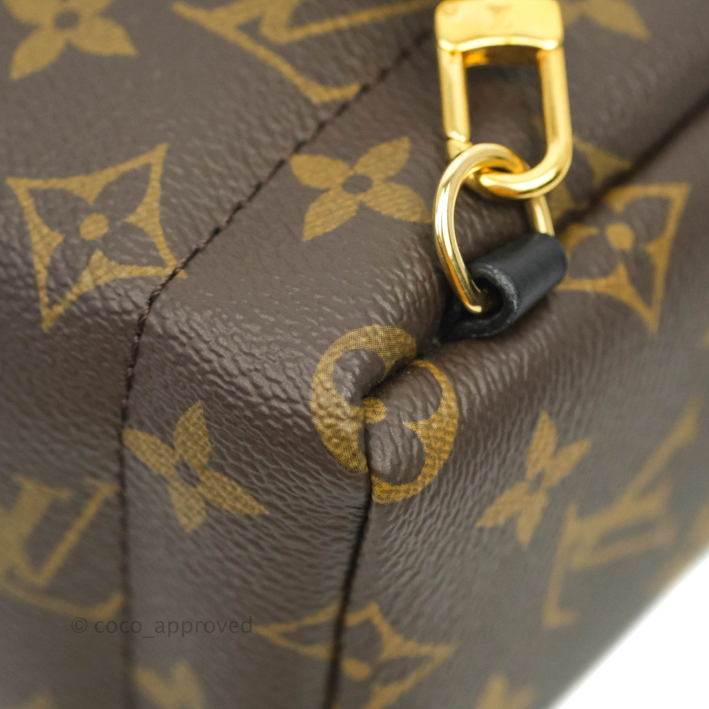 Louis Vuitton Monogram Mini Palm Springs Backpack⁣