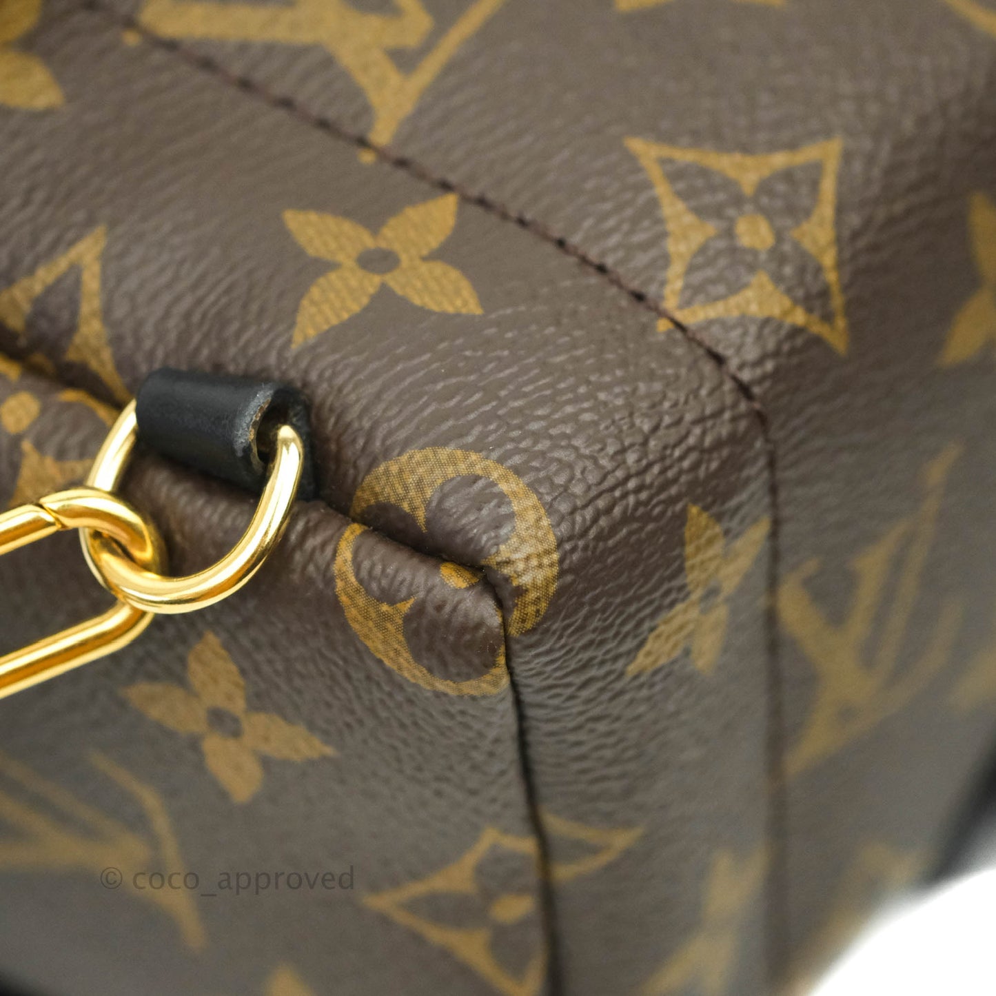 Louis Vuitton Monogram Mini Palm Springs Backpack⁣