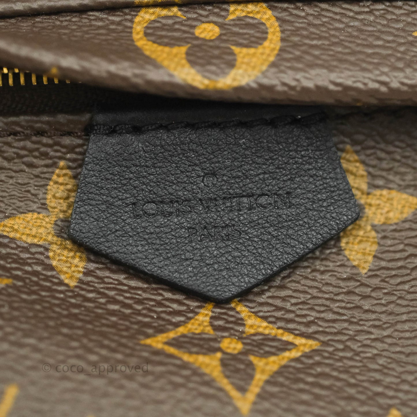 Louis Vuitton Monogram Mini Palm Springs Backpack⁣