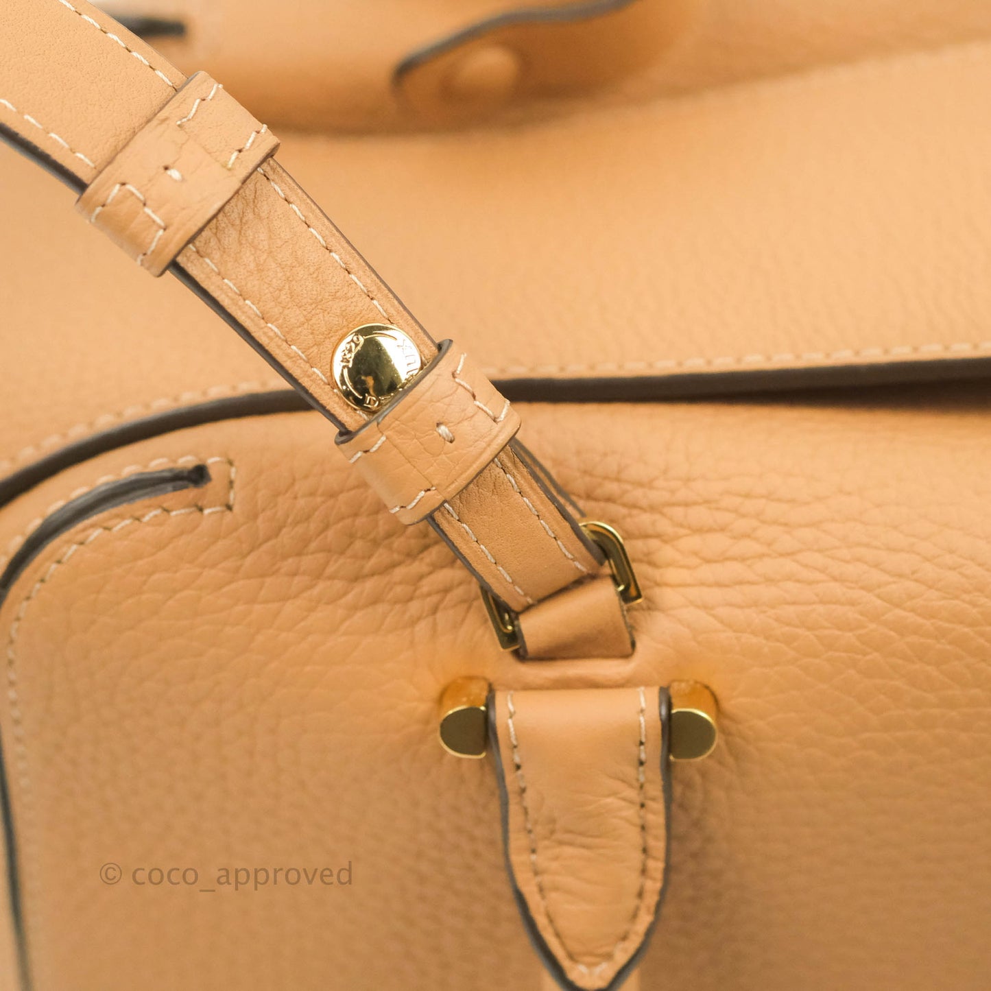 Delvaux Cool Box MM in Taurillon Soft Grained Calfskin Vegetal Ivory Gold Hardware