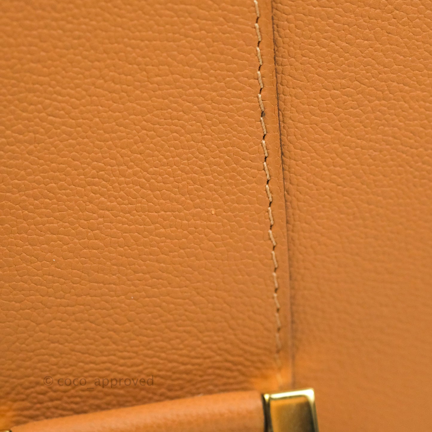 Delvaux Mini Brillant Bag Vegetal Rodeo Calf Gold Hardware