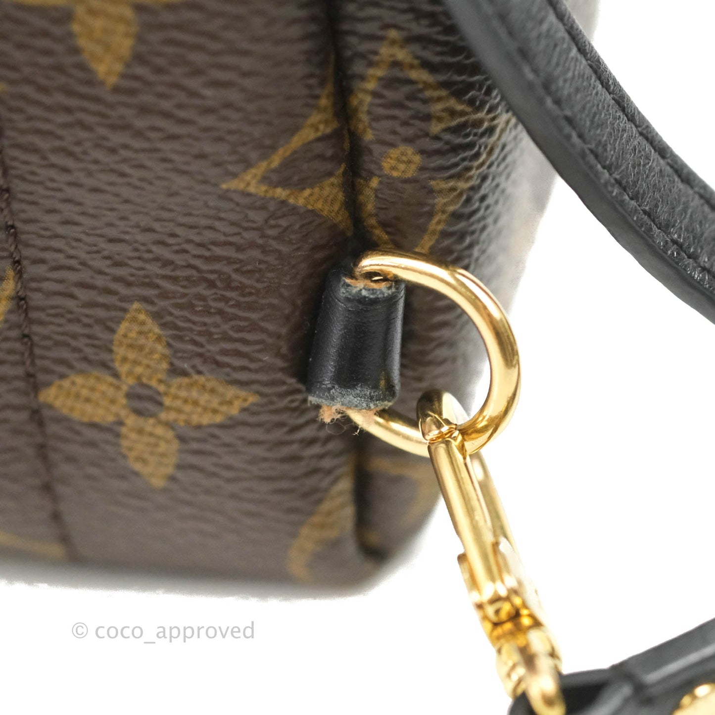 Louis Vuitton Monogram Mini Palm Springs Backpack⁣