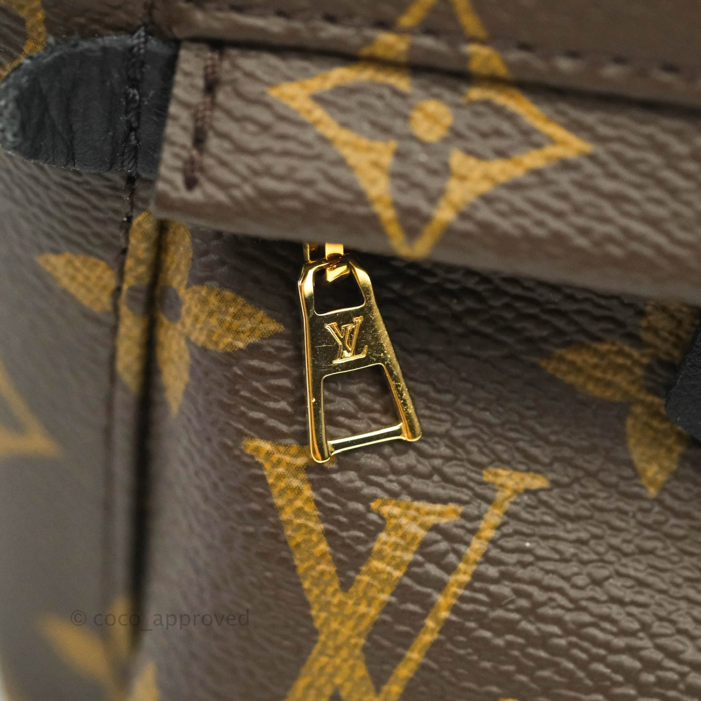 Louis Vuitton Monogram Mini Palm Springs Backpack⁣
