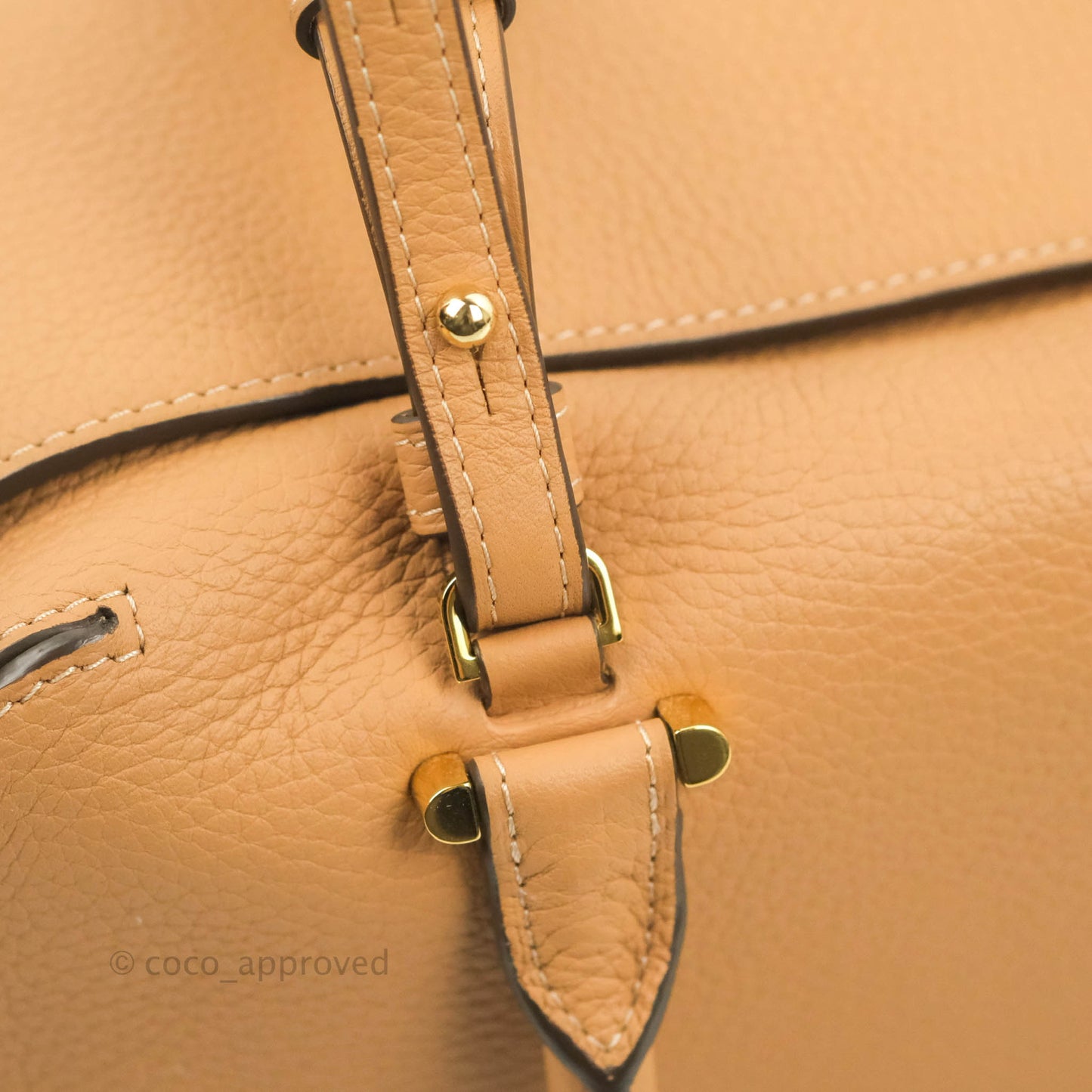 Delvaux Cool Box MM in Taurillon Soft Grained Calfskin Vegetal Ivory Gold Hardware