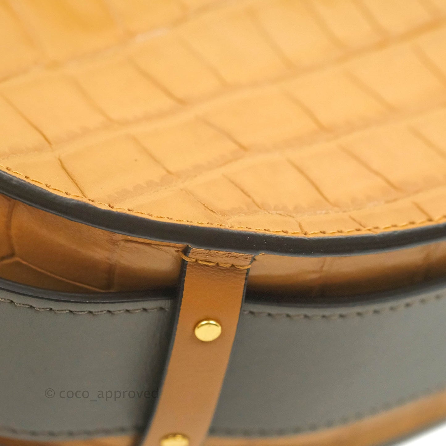 Chloe Small Croc-Embossed Tess Brown Bag