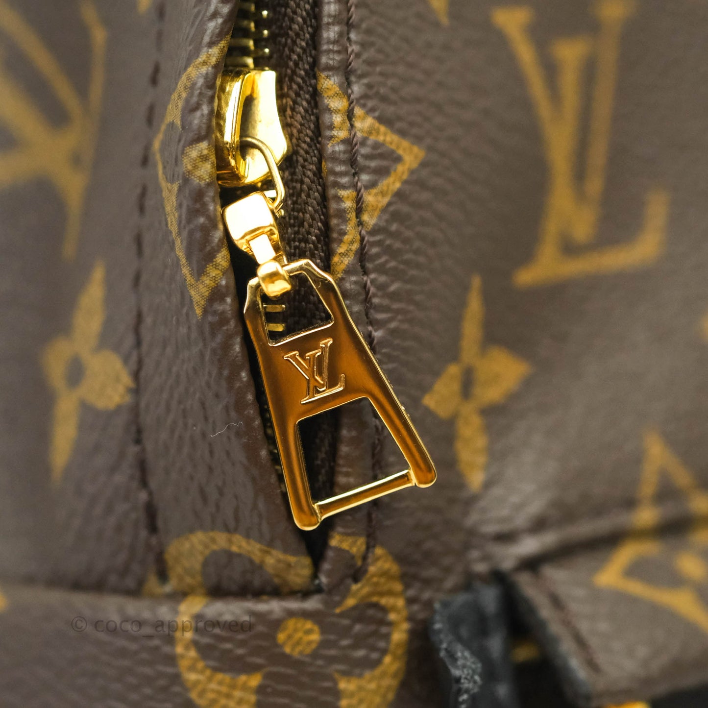 Louis Vuitton Monogram Mini Palm Springs Backpack⁣