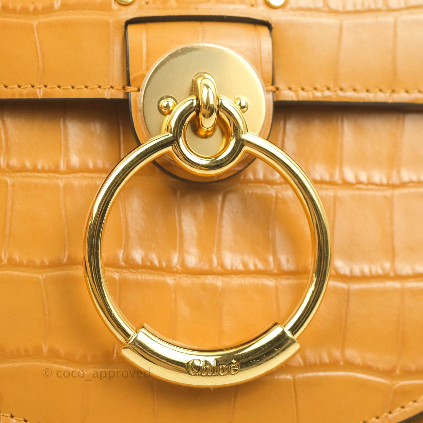 Chloe Small Croc-Embossed Tess Brown Bag