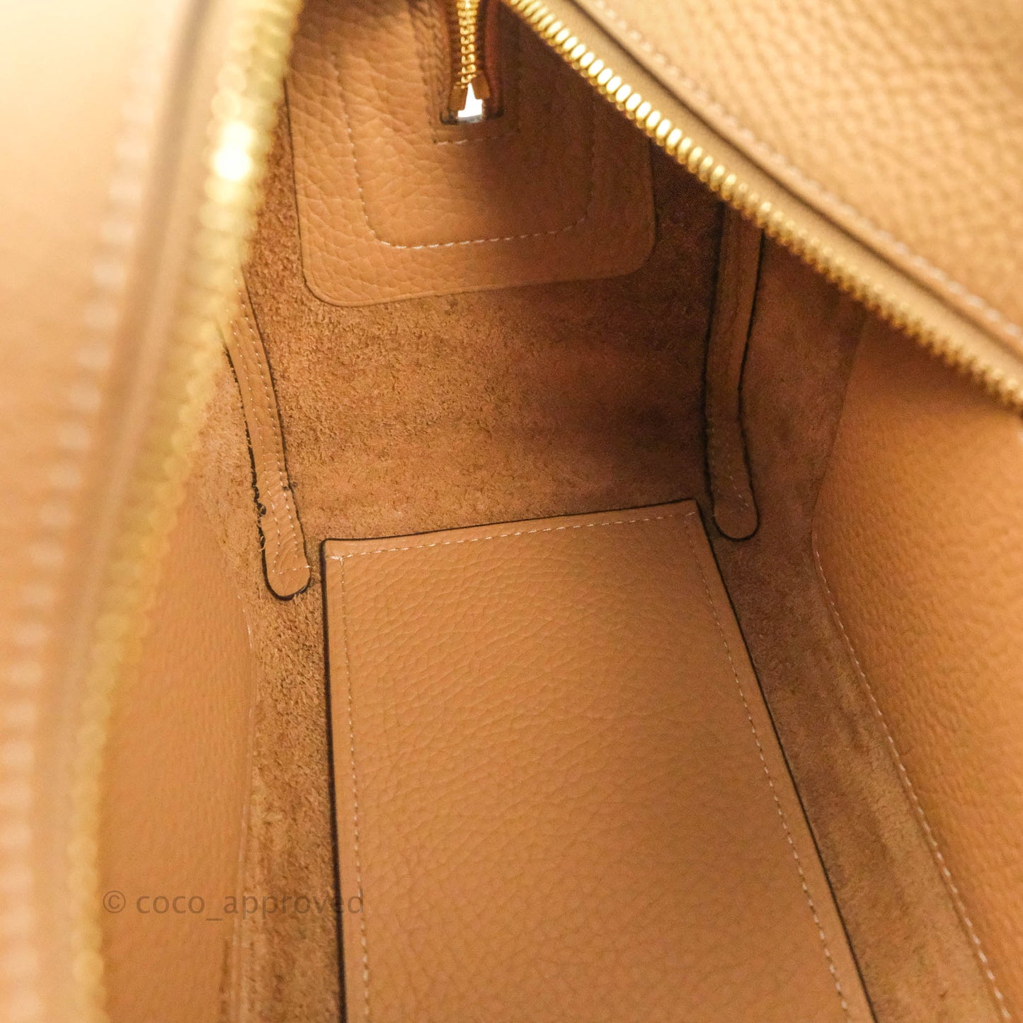 Delvaux Cool Box MM in Taurillon Soft Grained Calfskin Vegetal Ivory Gold Hardware