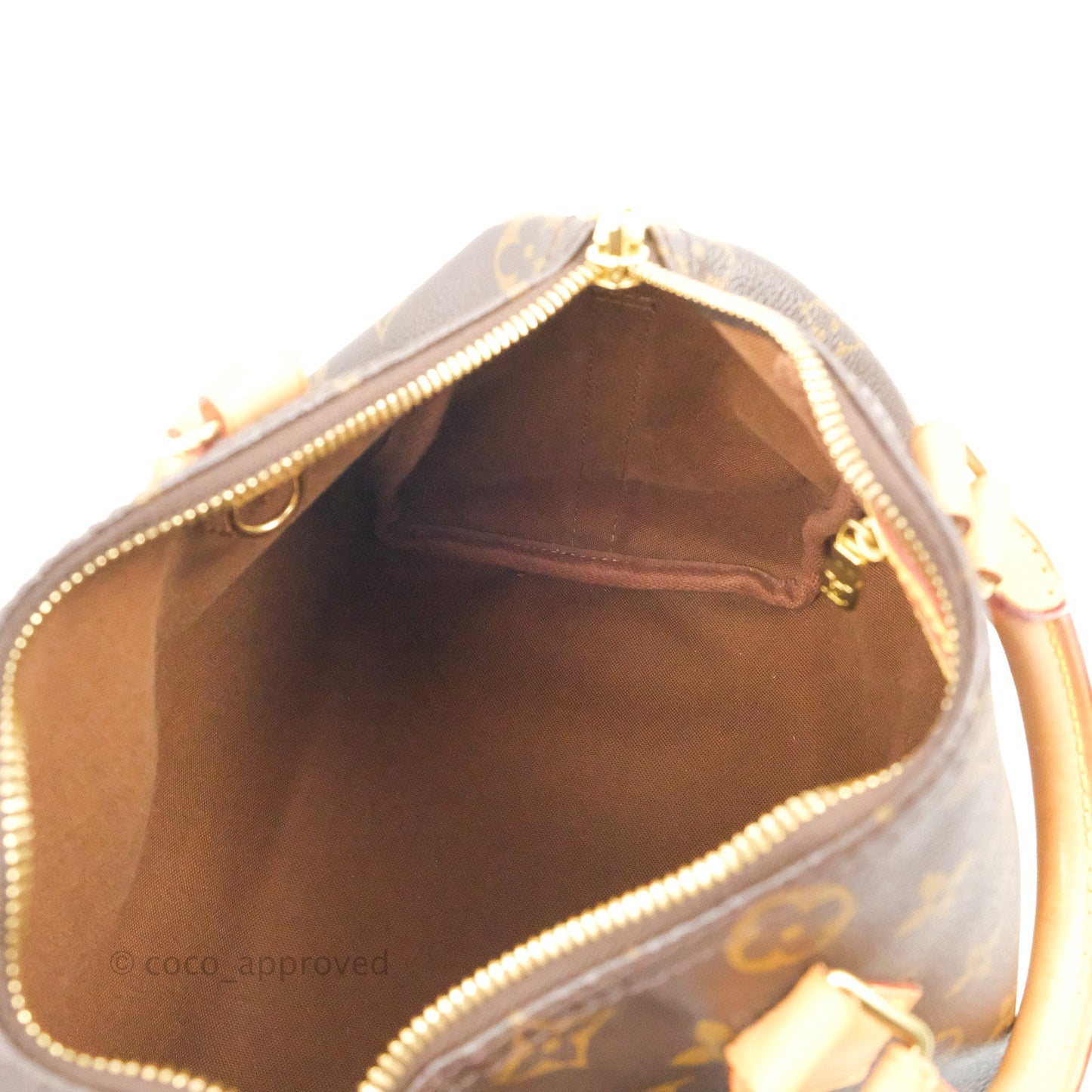 Louis Vuitton Speedy 25 Monogram Canvas