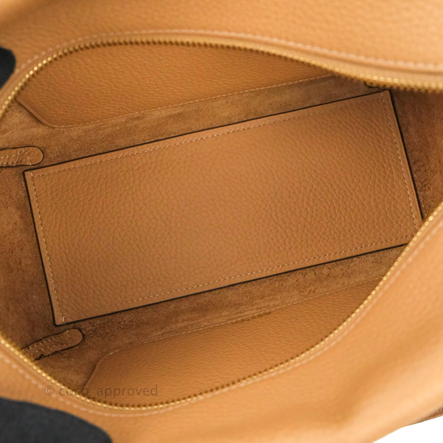 Delvaux Cool Box MM in Taurillon Soft Grained Calfskin Vegetal Ivory Gold Hardware