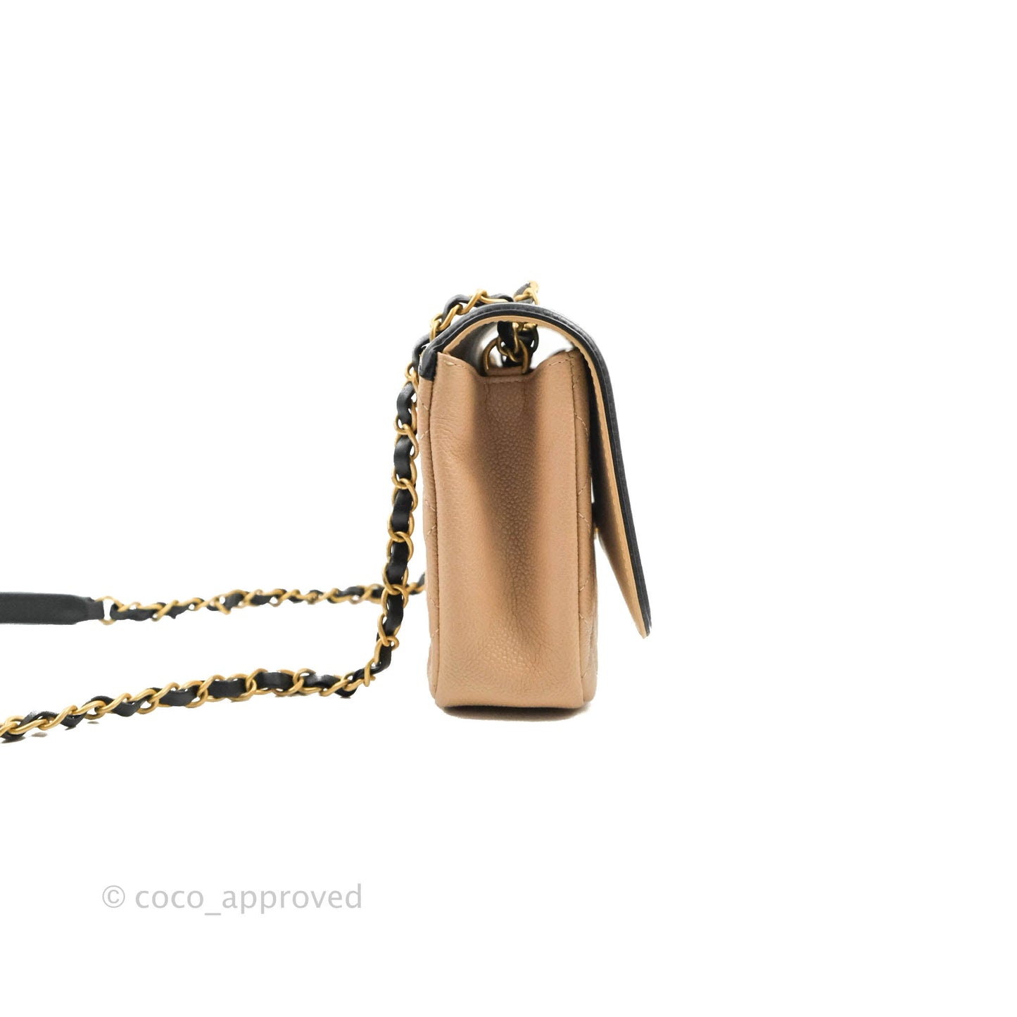 Chanel Quilted Medium CC Filigree Flap Beige Black Caviar