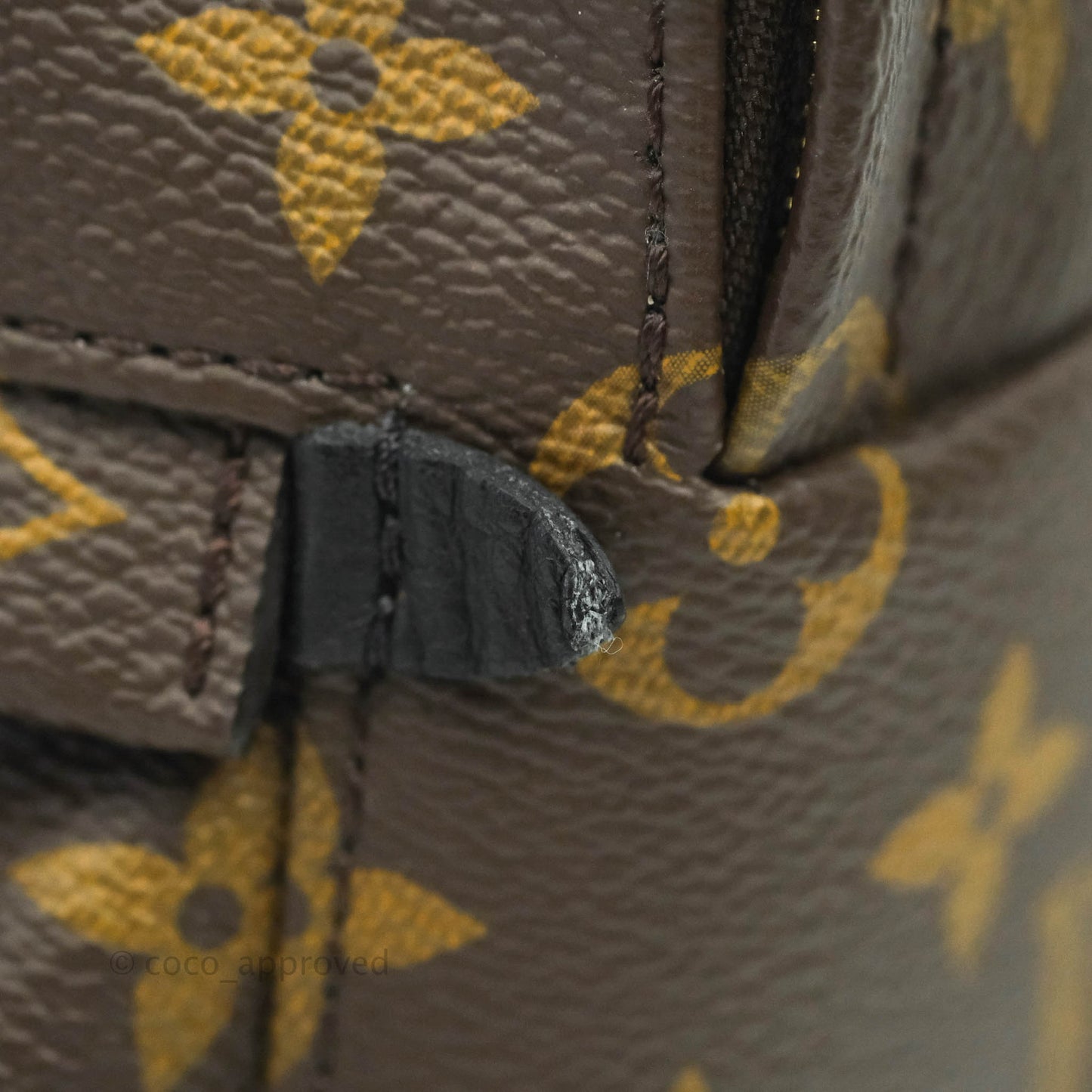 Louis Vuitton Monogram Mini Palm Springs Backpack⁣