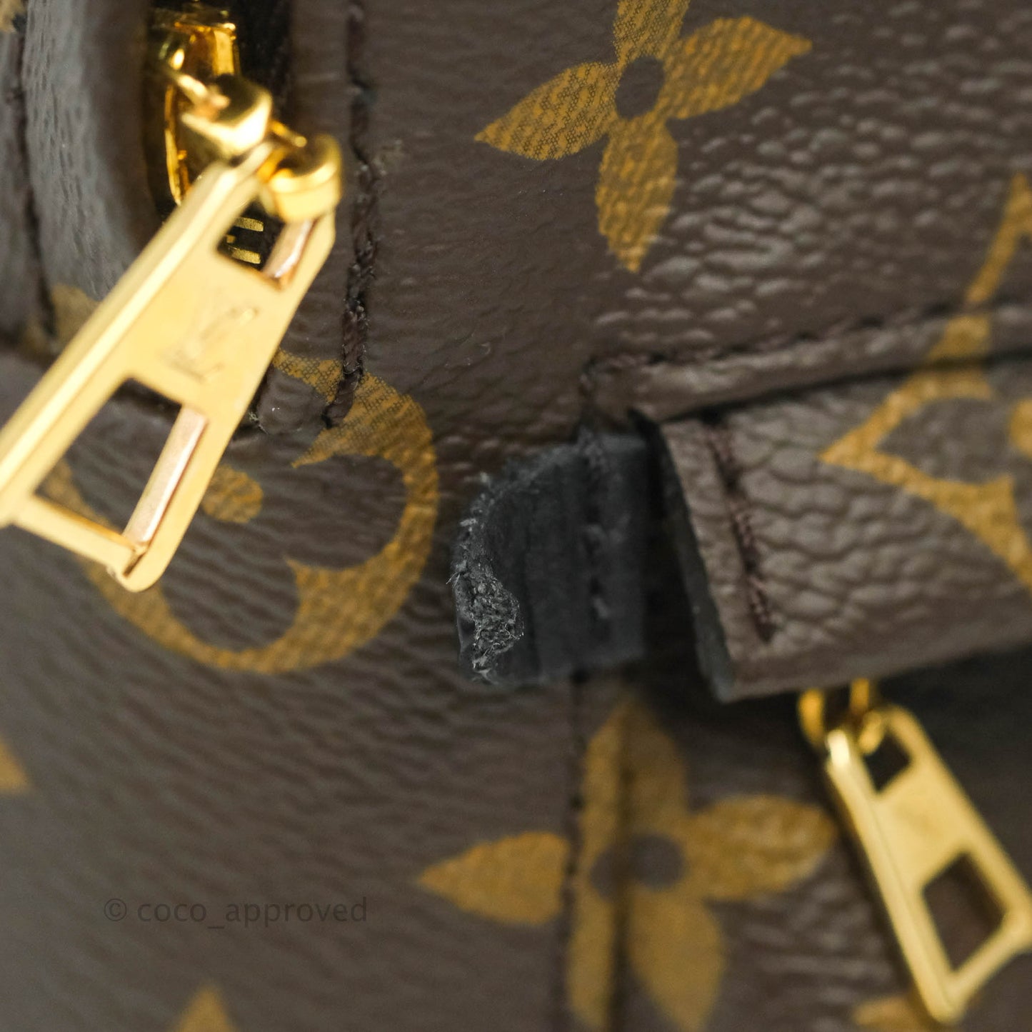 Louis Vuitton Monogram Mini Palm Springs Backpack⁣