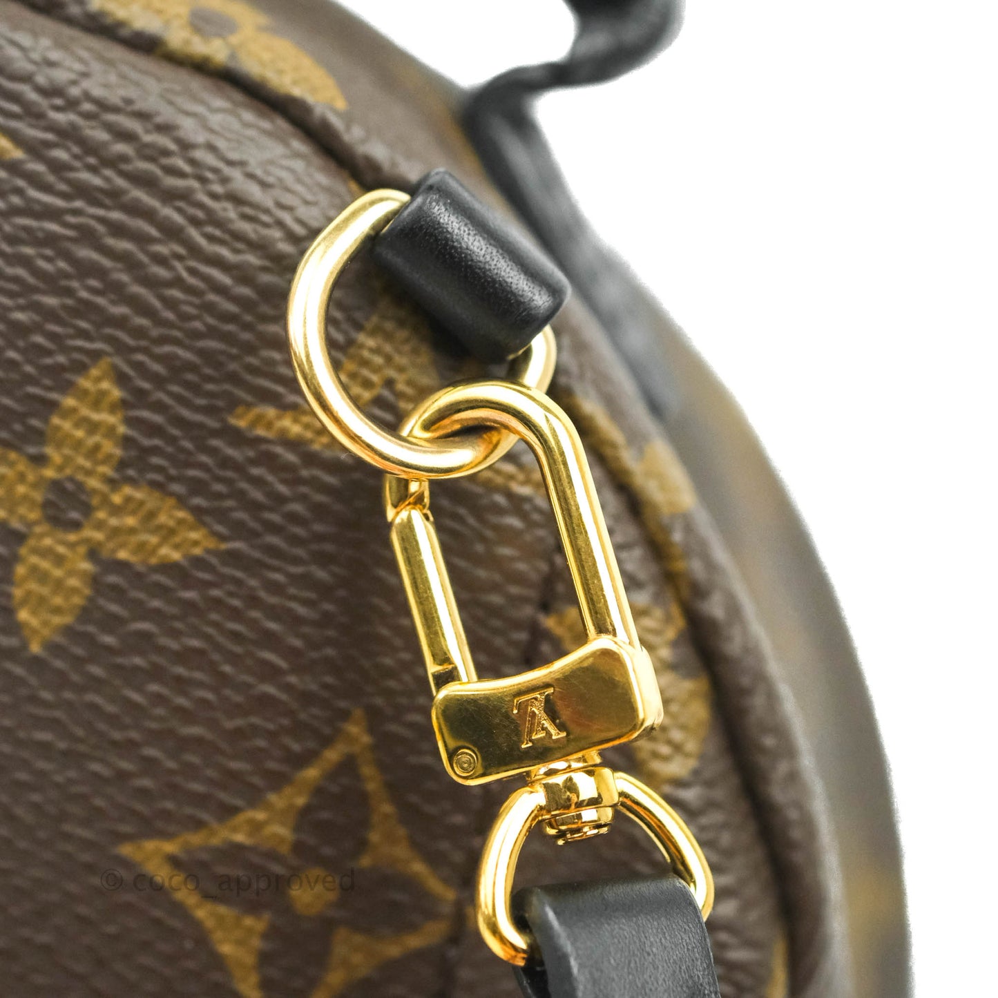 Louis Vuitton Monogram Mini Palm Springs Backpack⁣