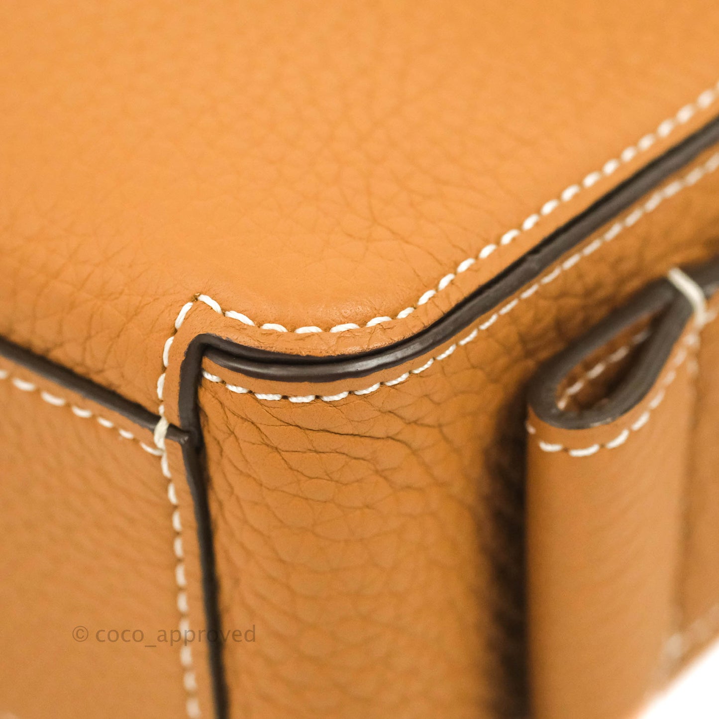 Delvaux Nano Cool Box in Taurillon Soft Grained Calfskin Vegetal Ivory Gold Hardware