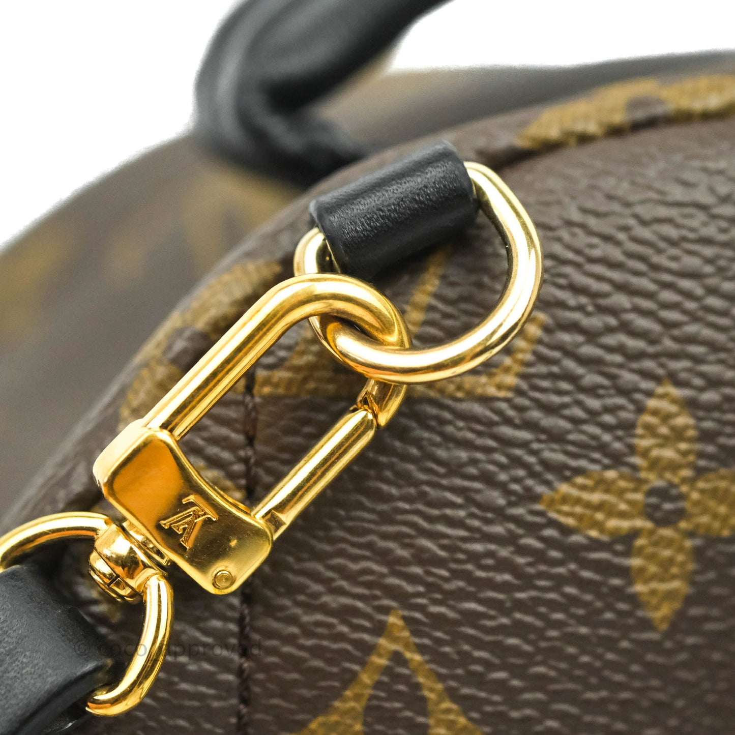 Louis Vuitton Monogram Mini Palm Springs Backpack⁣