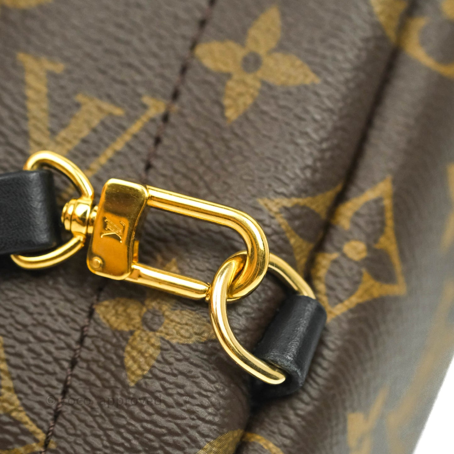 Louis Vuitton Monogram Mini Palm Springs Backpack⁣