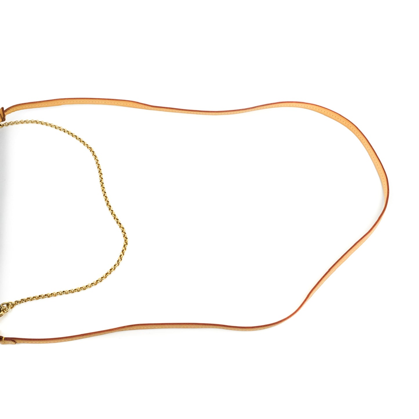 Louis Vuitton Favourite Bag PM Monogram