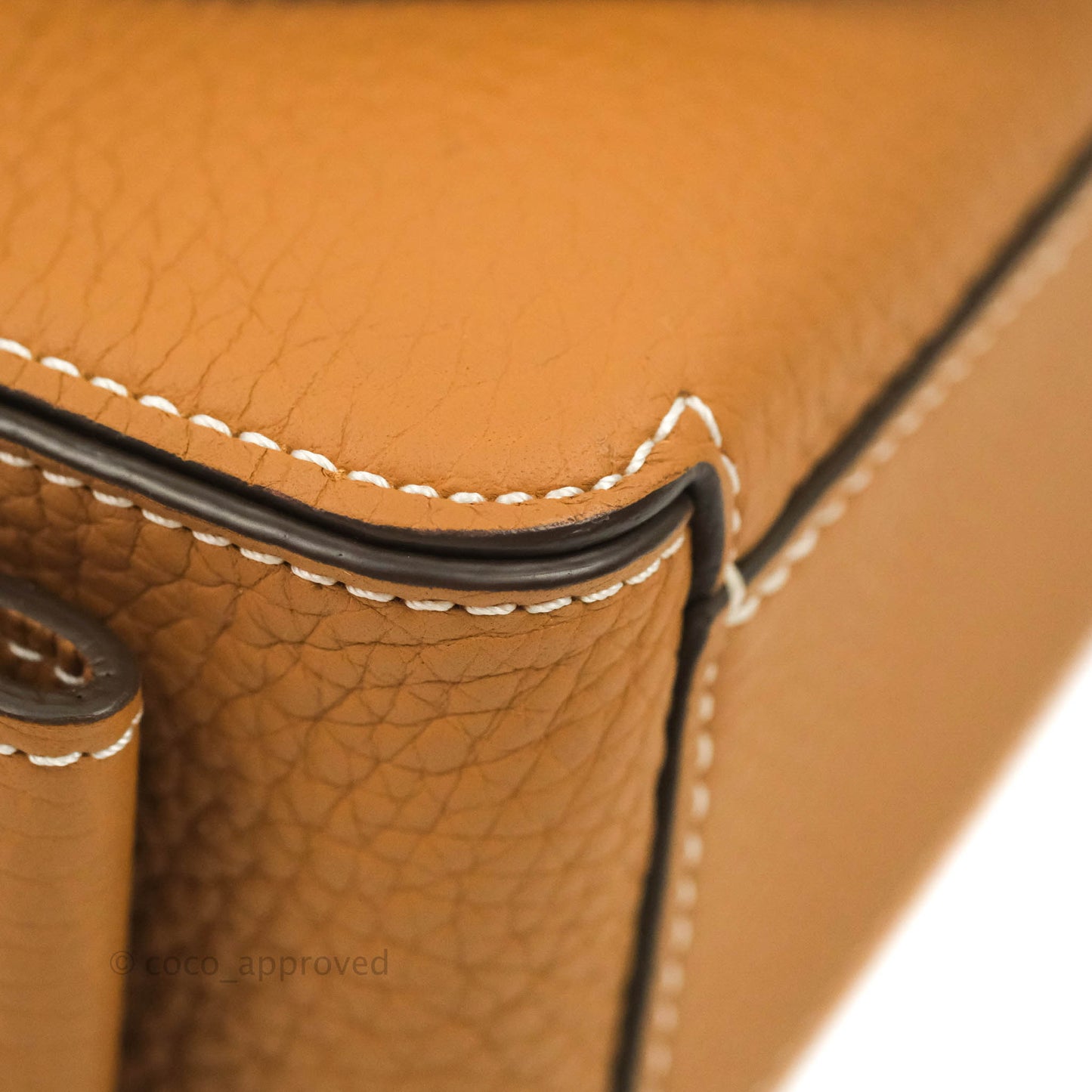 Delvaux Nano Cool Box in Taurillon Soft Grained Calfskin Vegetal Ivory Gold Hardware