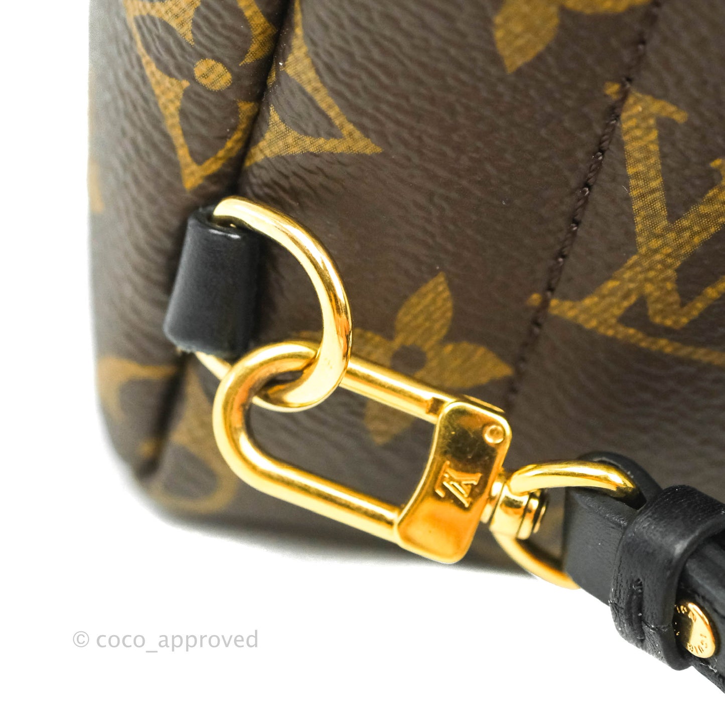 Louis Vuitton Monogram Mini Palm Springs Backpack⁣