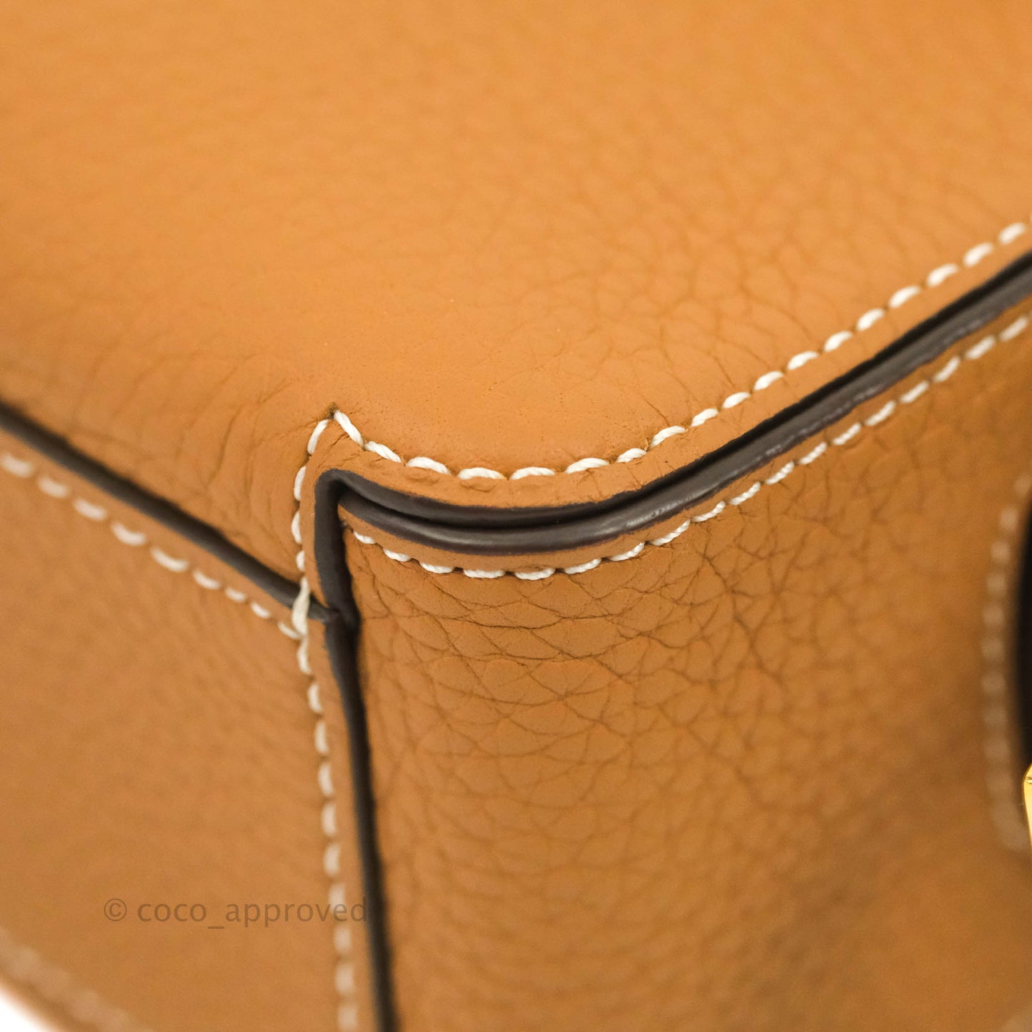 Delvaux Nano Cool Box in Taurillon Soft Grained Calfskin Vegetal Ivory Gold Hardware