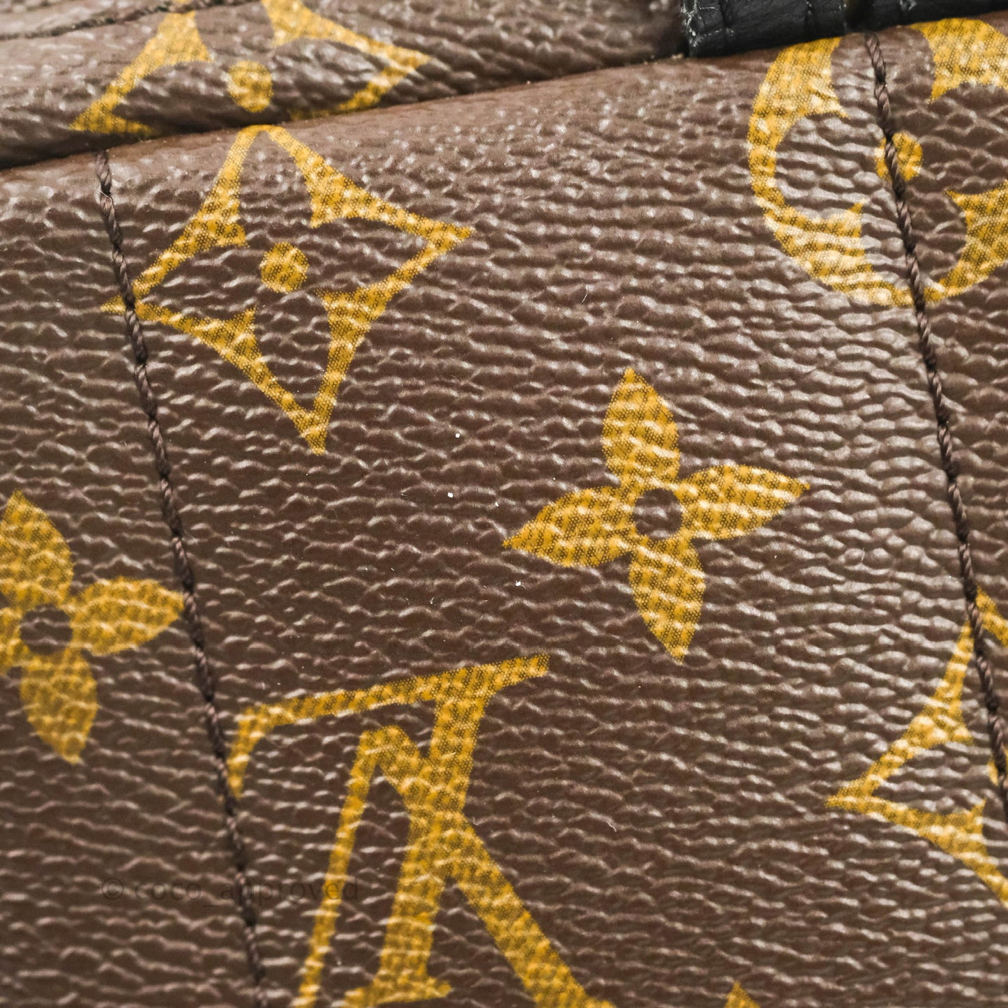 Louis Vuitton Monogram Mini Palm Springs Backpack⁣
