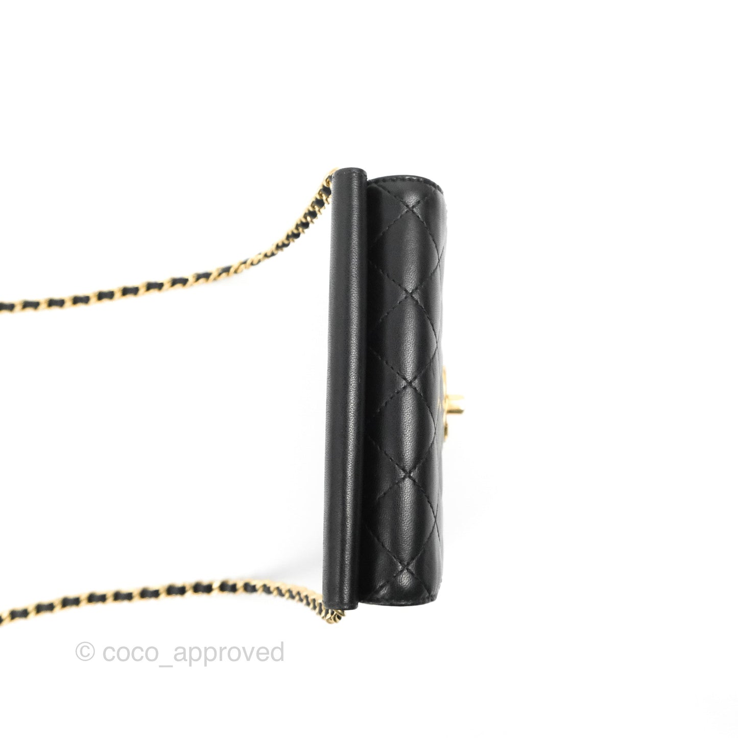 Chanel Mini Flap on Chain Black Calfskin Aged Gold Hardware