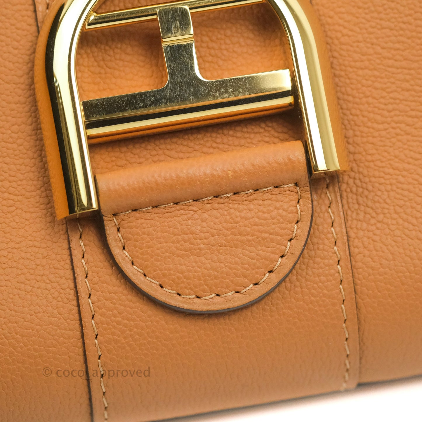 Delvaux Mini Brillant Bag Vegetal Rodeo Calf Gold Hardware