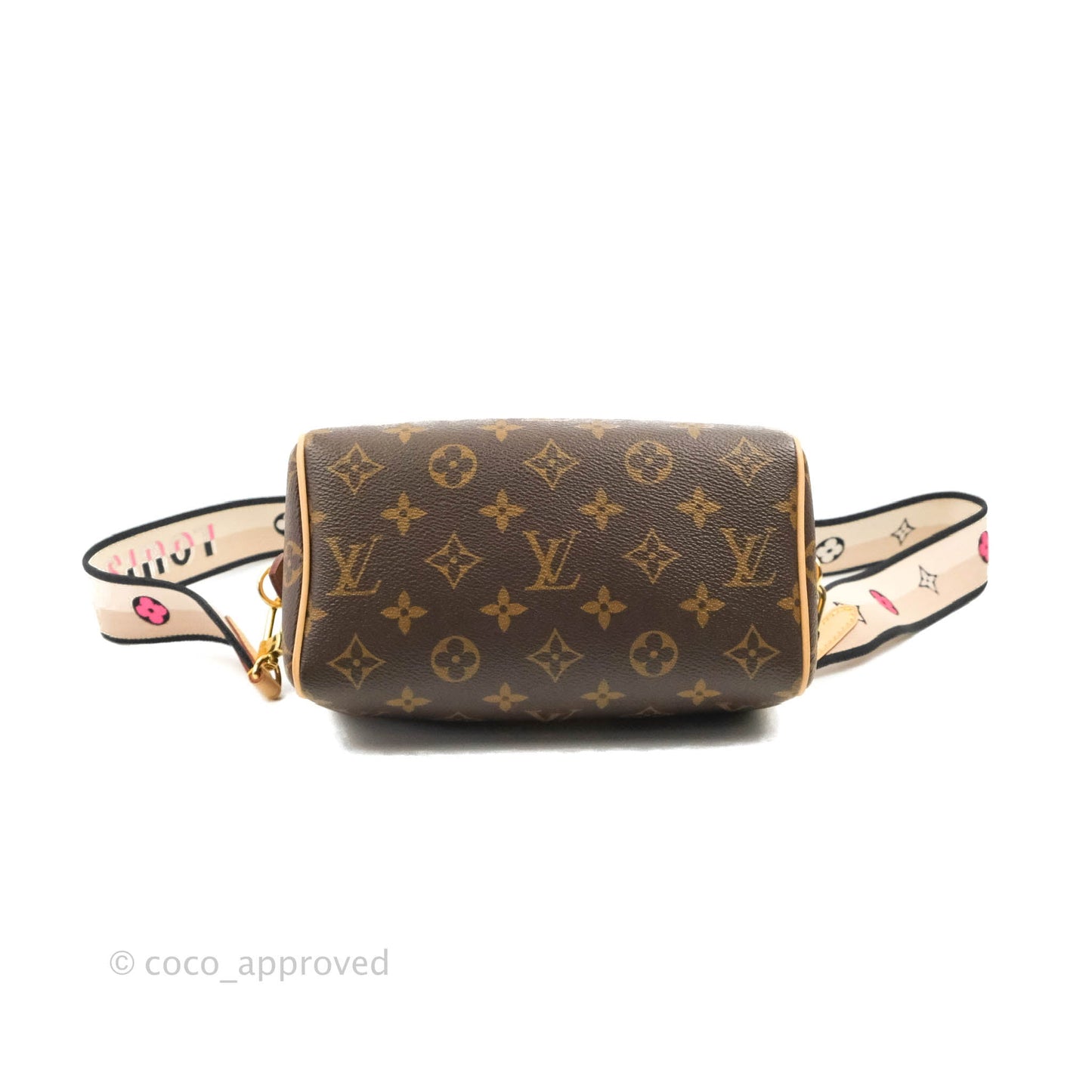 Louis Vuitton Speedy Bandoulière 20 Monogram
