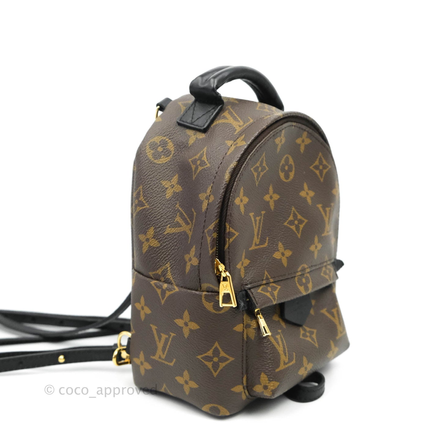 Louis Vuitton Monogram Mini Palm Springs Backpack⁣