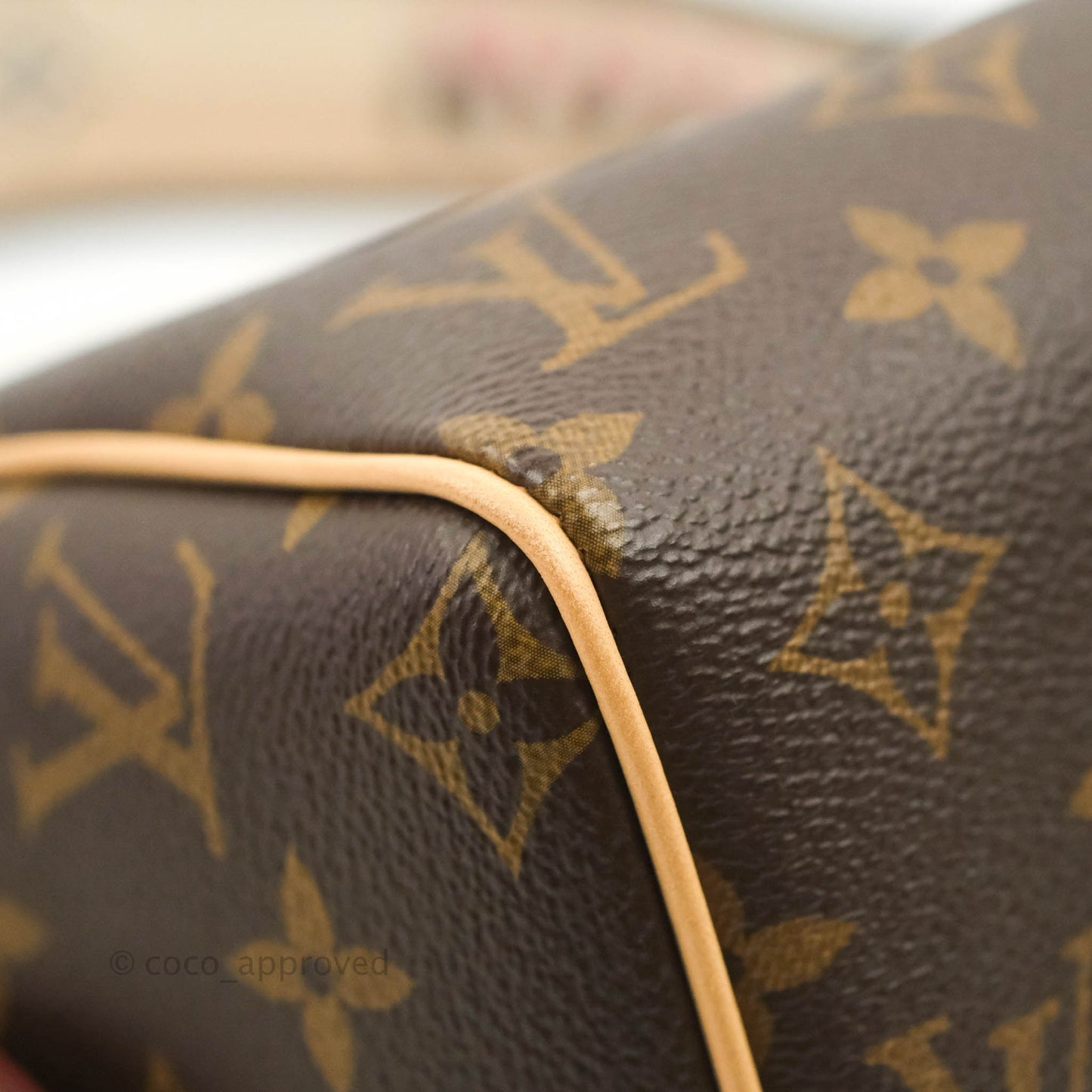 Louis Vuitton Speedy Bandoulière 20 Monogram